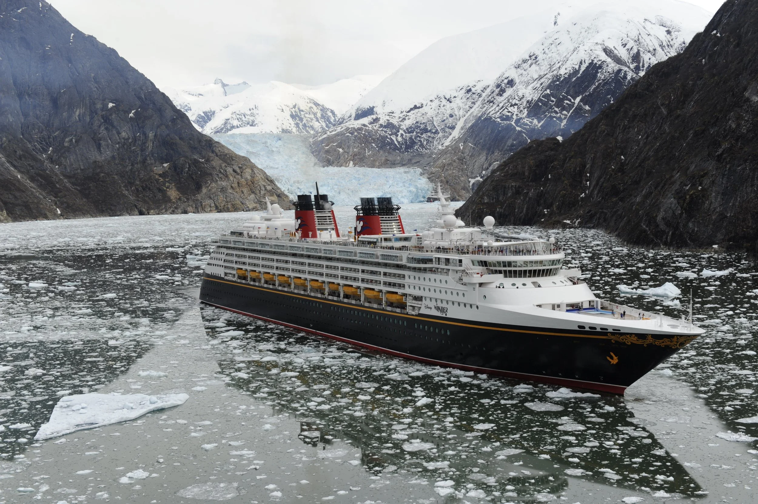 Meet The Disney Wonder