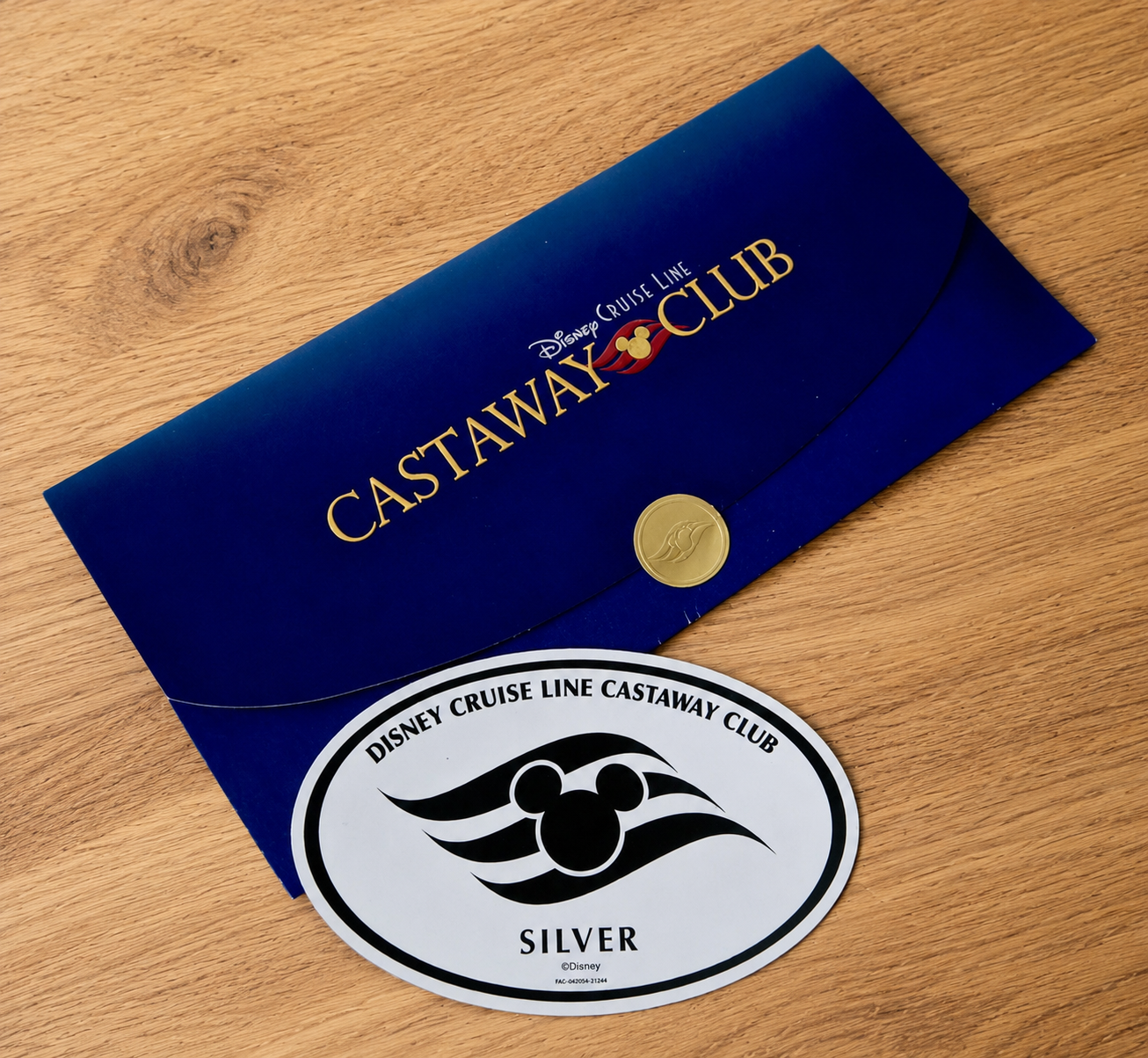 What is Disney Castaway Club?