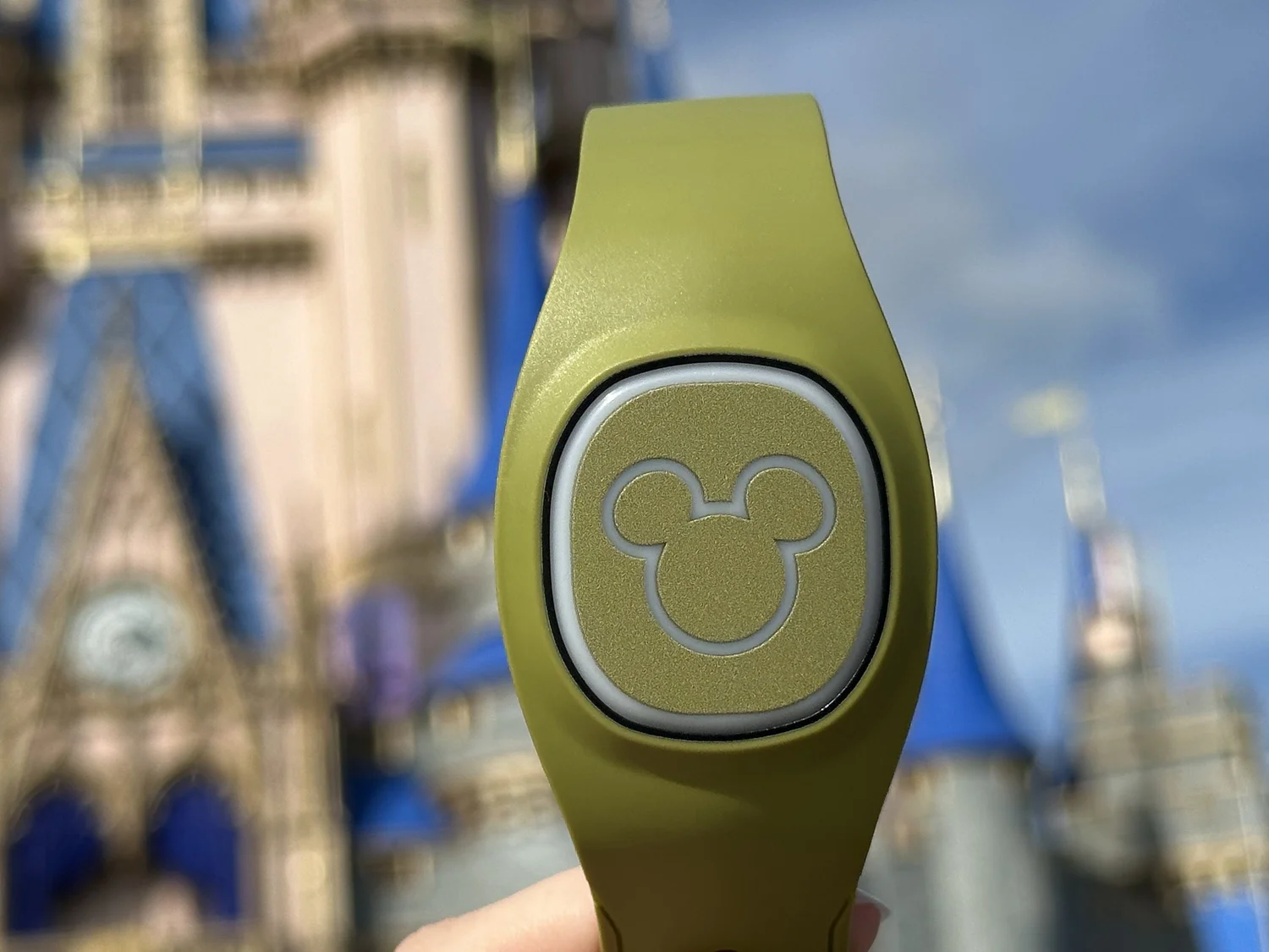 Magic Bands