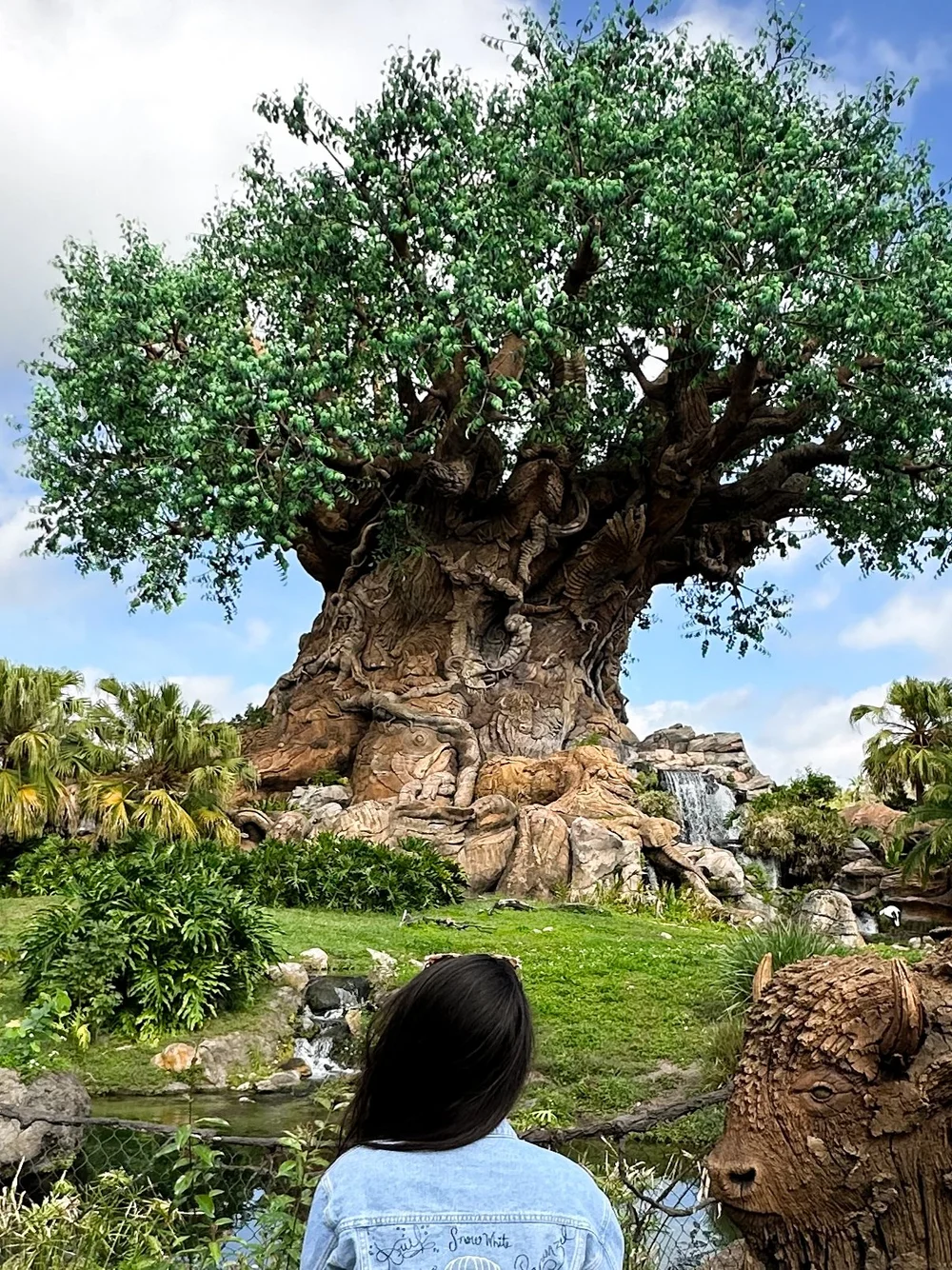 Animal Kingdom