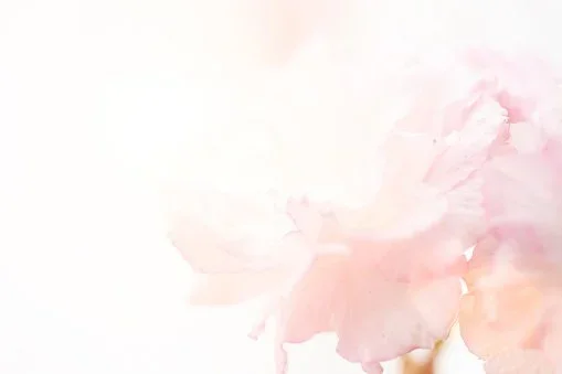 Everything you need is already within you.