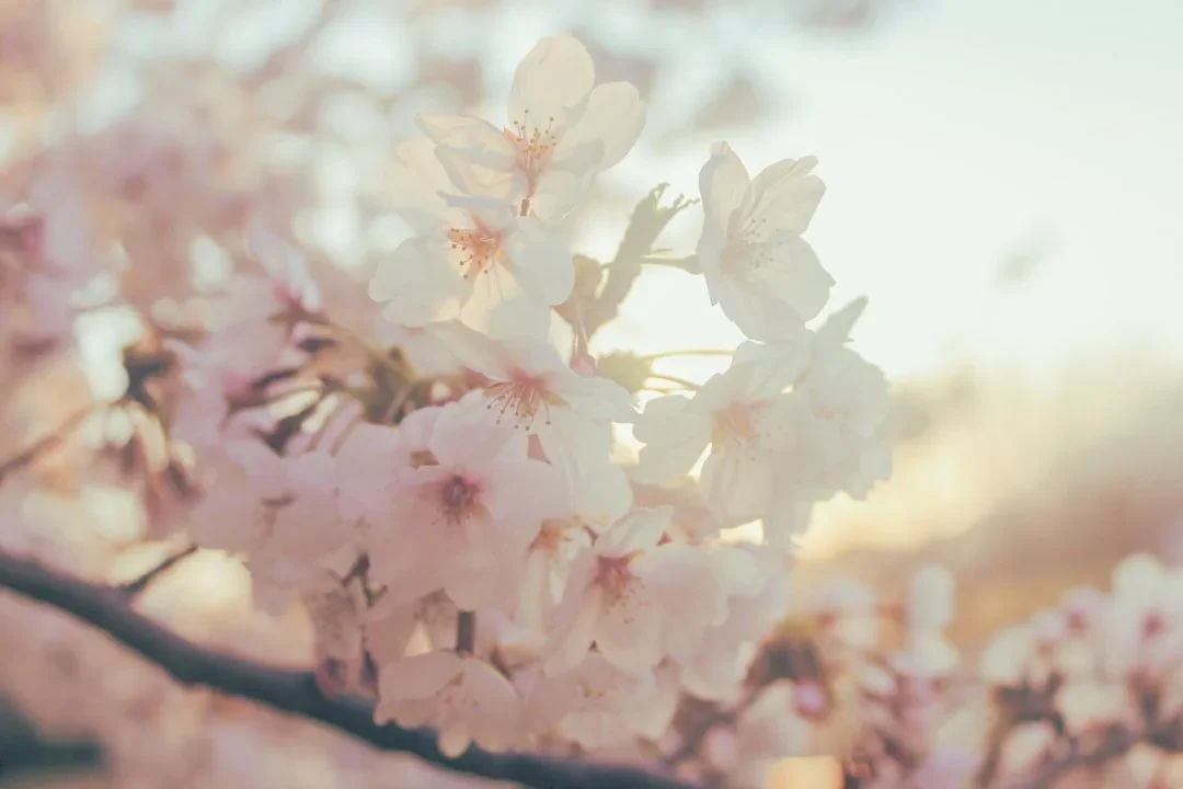 JUNE