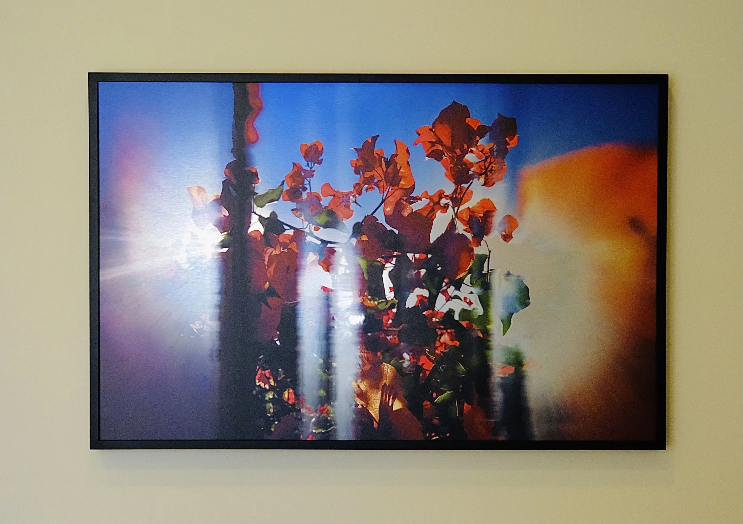 DoubleTap, PunkFlora, LA Production Co