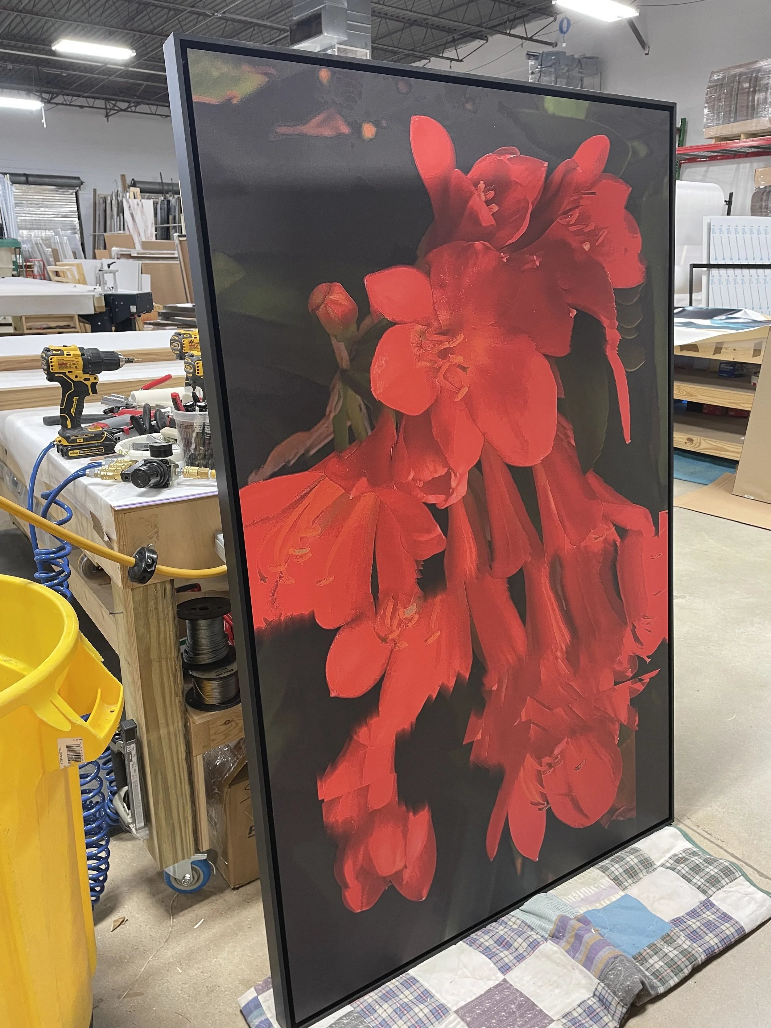 FireBrand, PunkFlora, In Studio