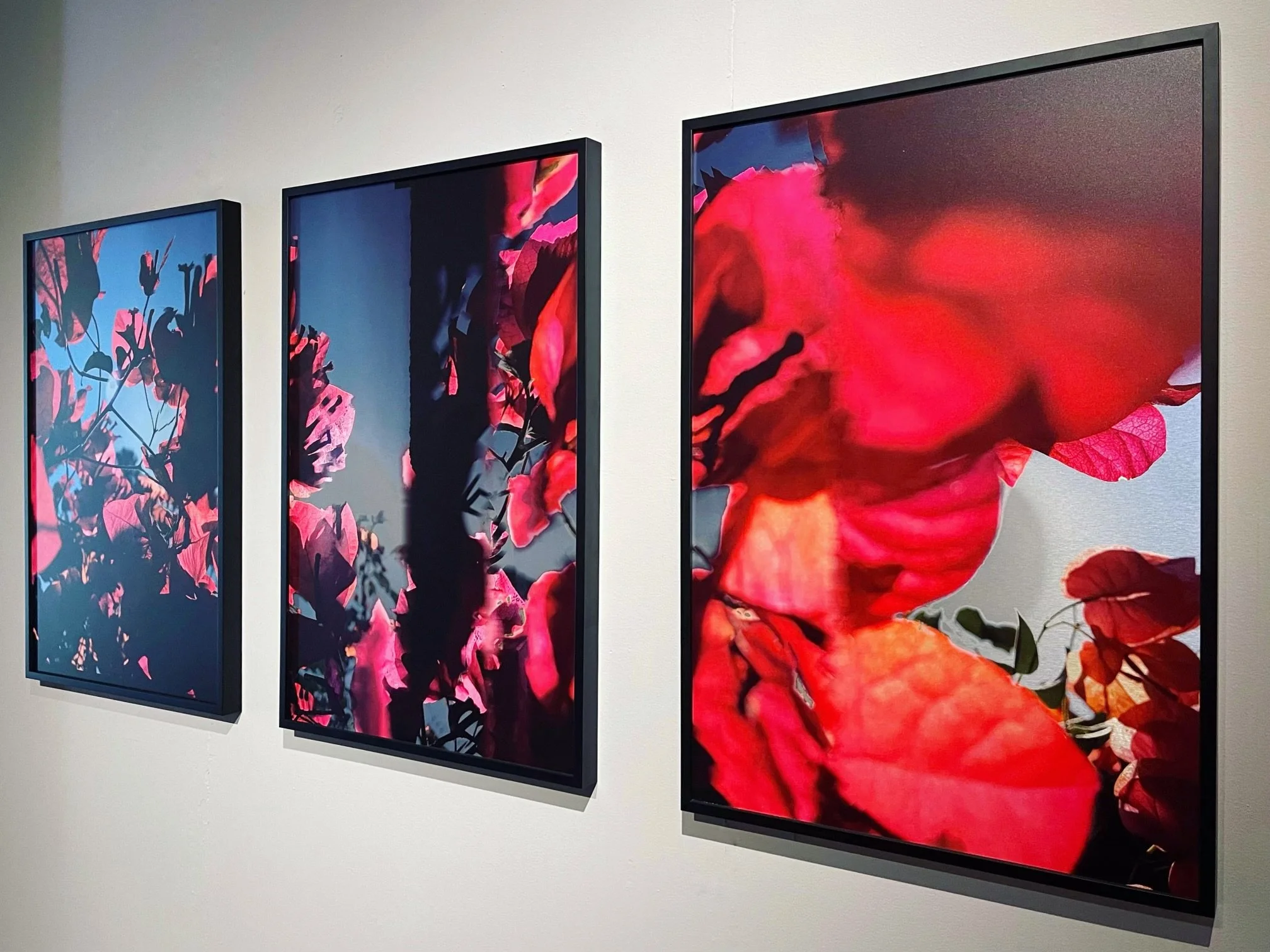 Mural (as Triptych), PunkFlora, Santa Monica Art  Museum