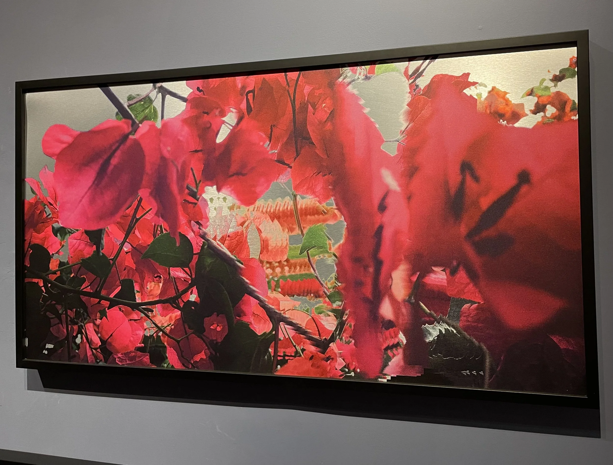 AKindOfFire, PunkFlora, Santa Monica Art Museum