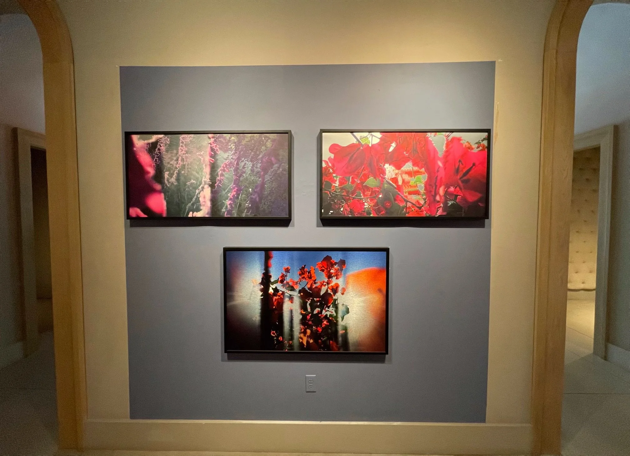 Images from InPurpleSage & PunkFlora, Santa Monica Art Museum