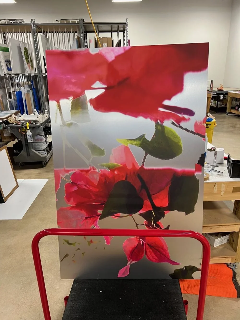 Twin, PunkFlora, In Studio