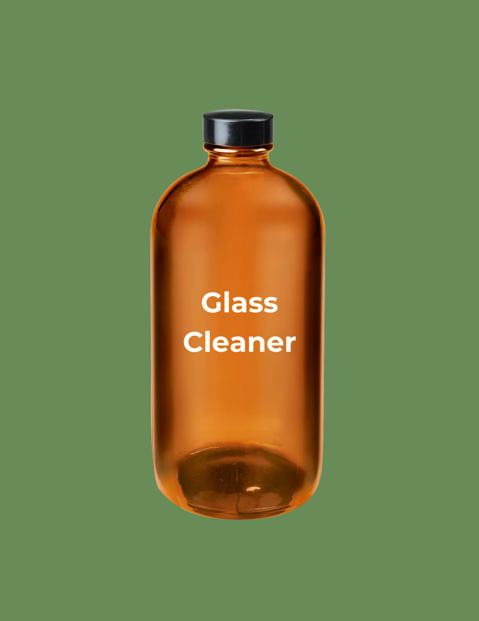Glass Cleaner - 16 oz NT WT
