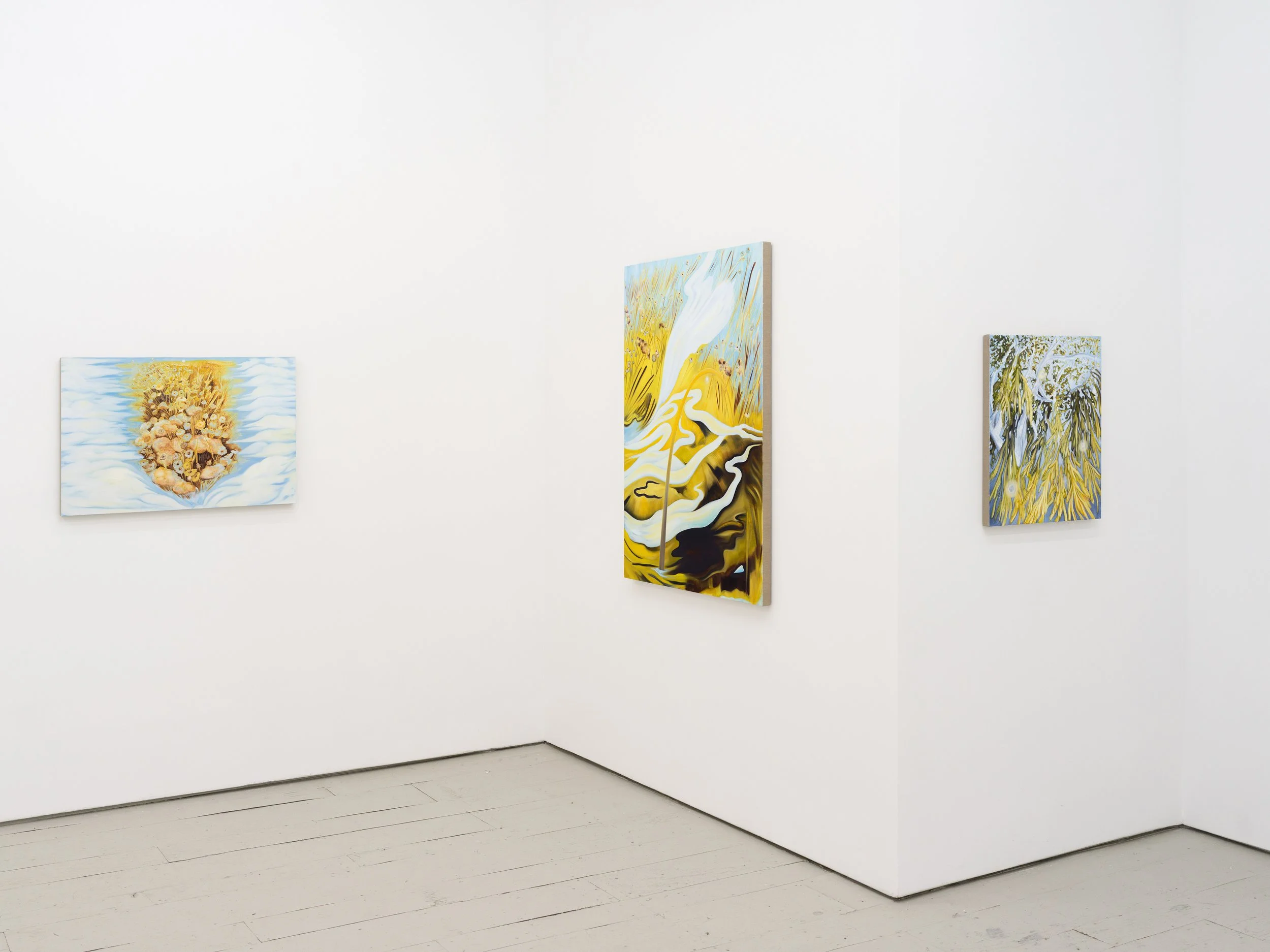 Piersol Install -11 LR.jpg