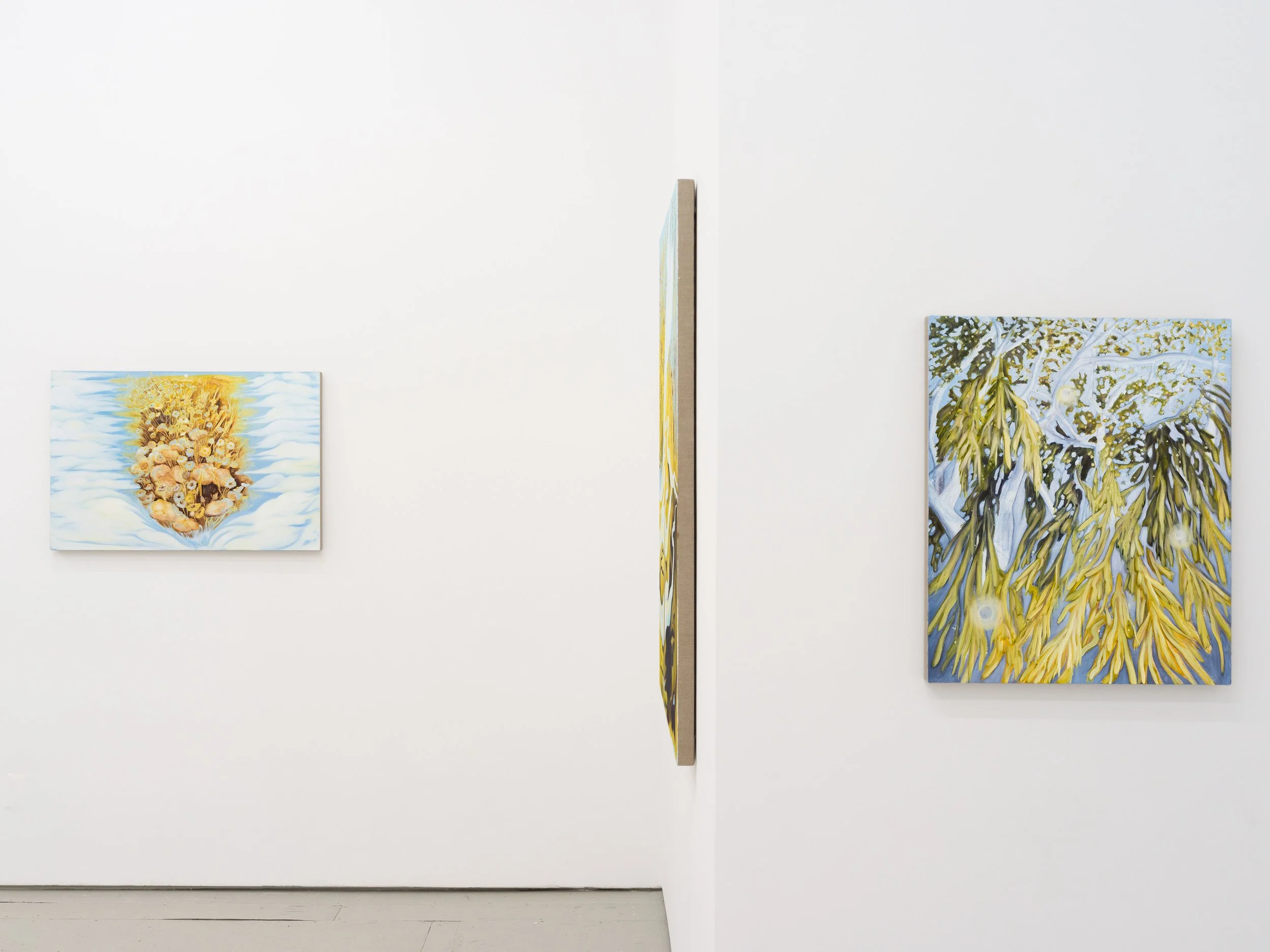 Piersol Install -16 LR.jpg