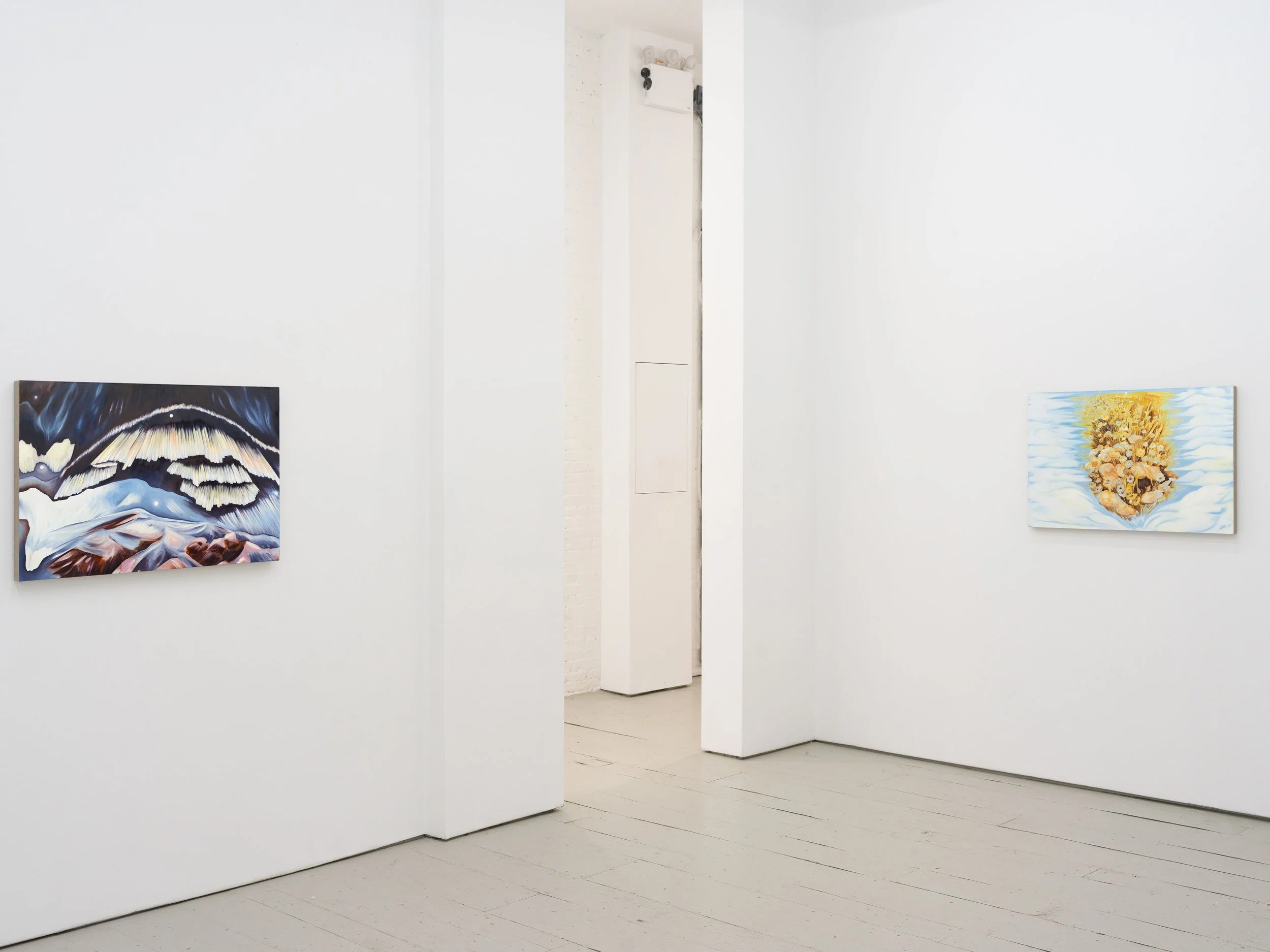 Piersol Install -17 LR.jpg