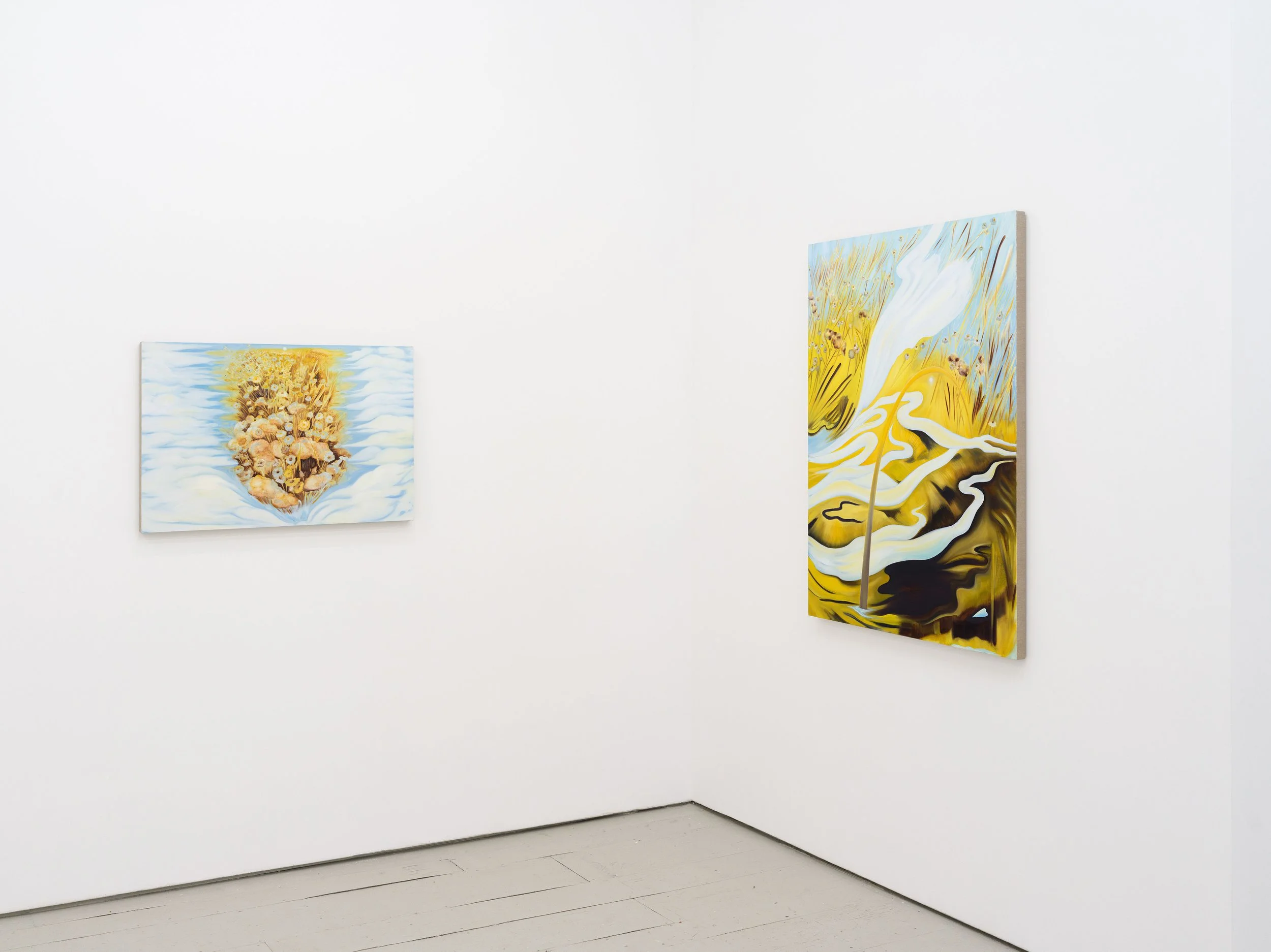 Piersol Install -12 LR.jpg