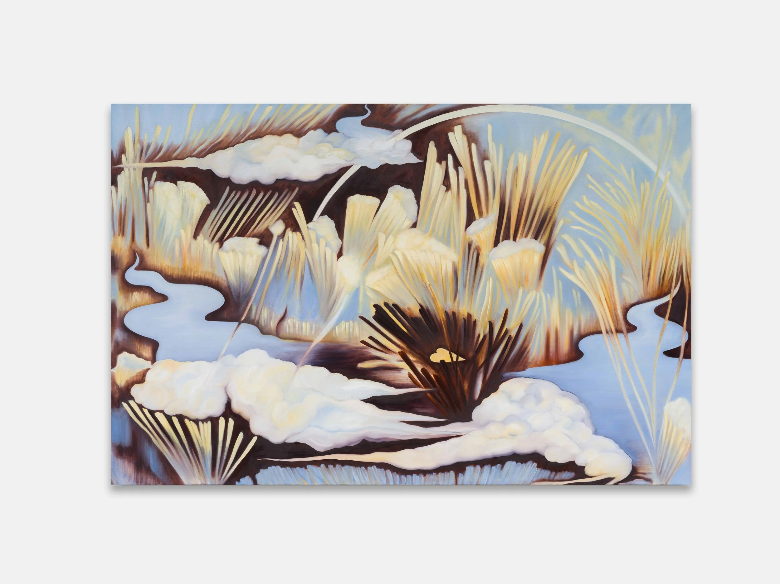 Piersol, Desert Dewpoint, 30 x 45 in.jpg