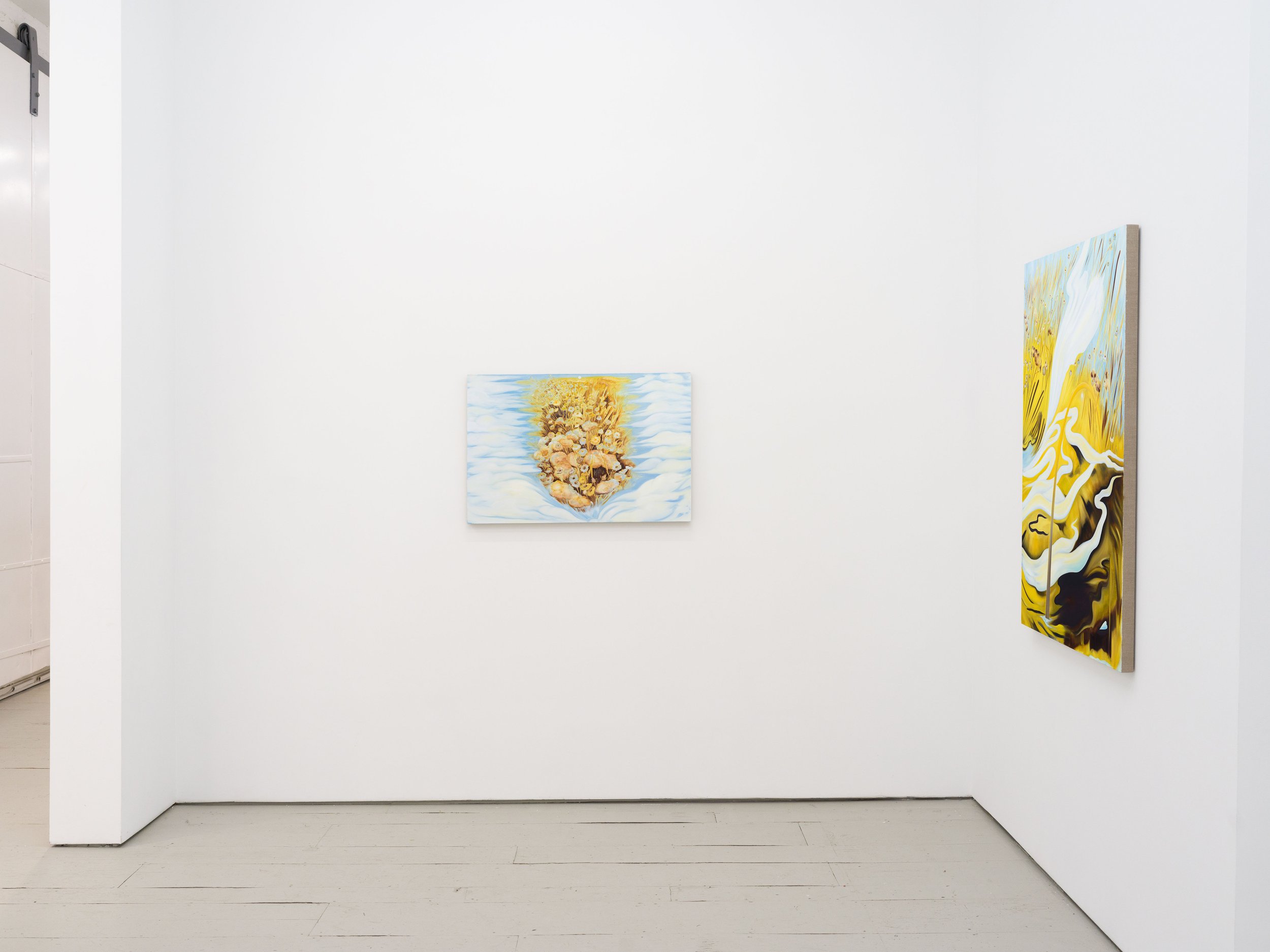 Sabrina Piersol
Outside Your Cloud
February 20 - March 28, 2026