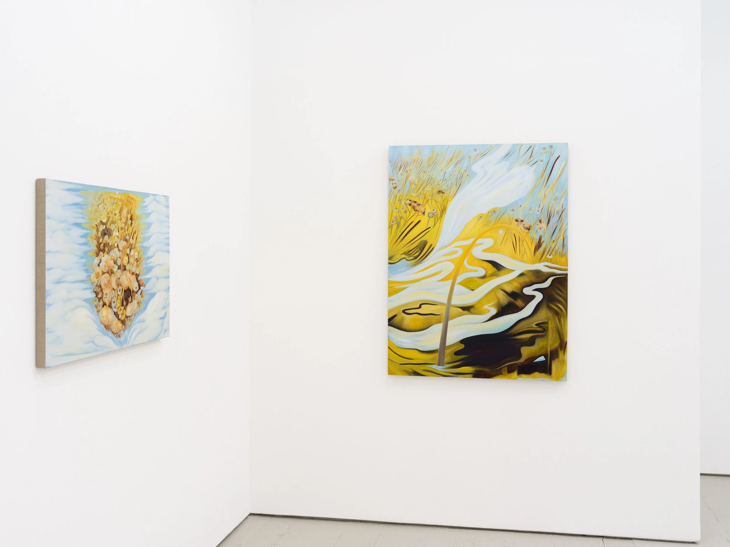 Piersol Install -1 LR.jpg