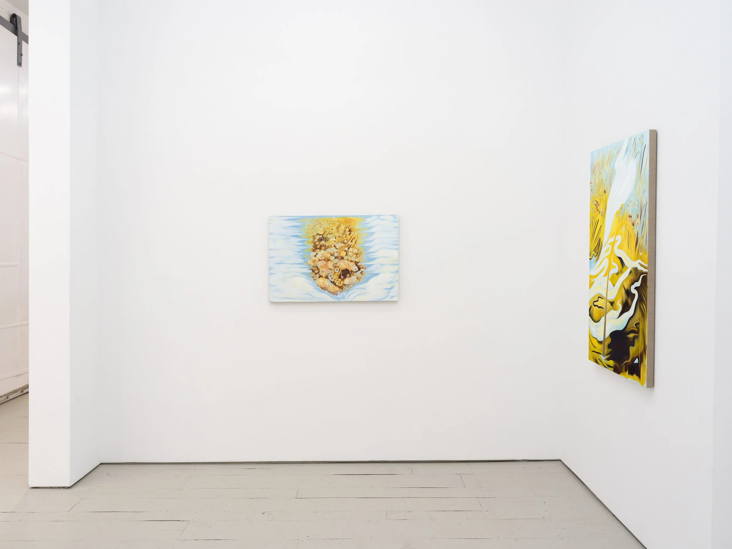 Piersol Install -13 LR.jpg