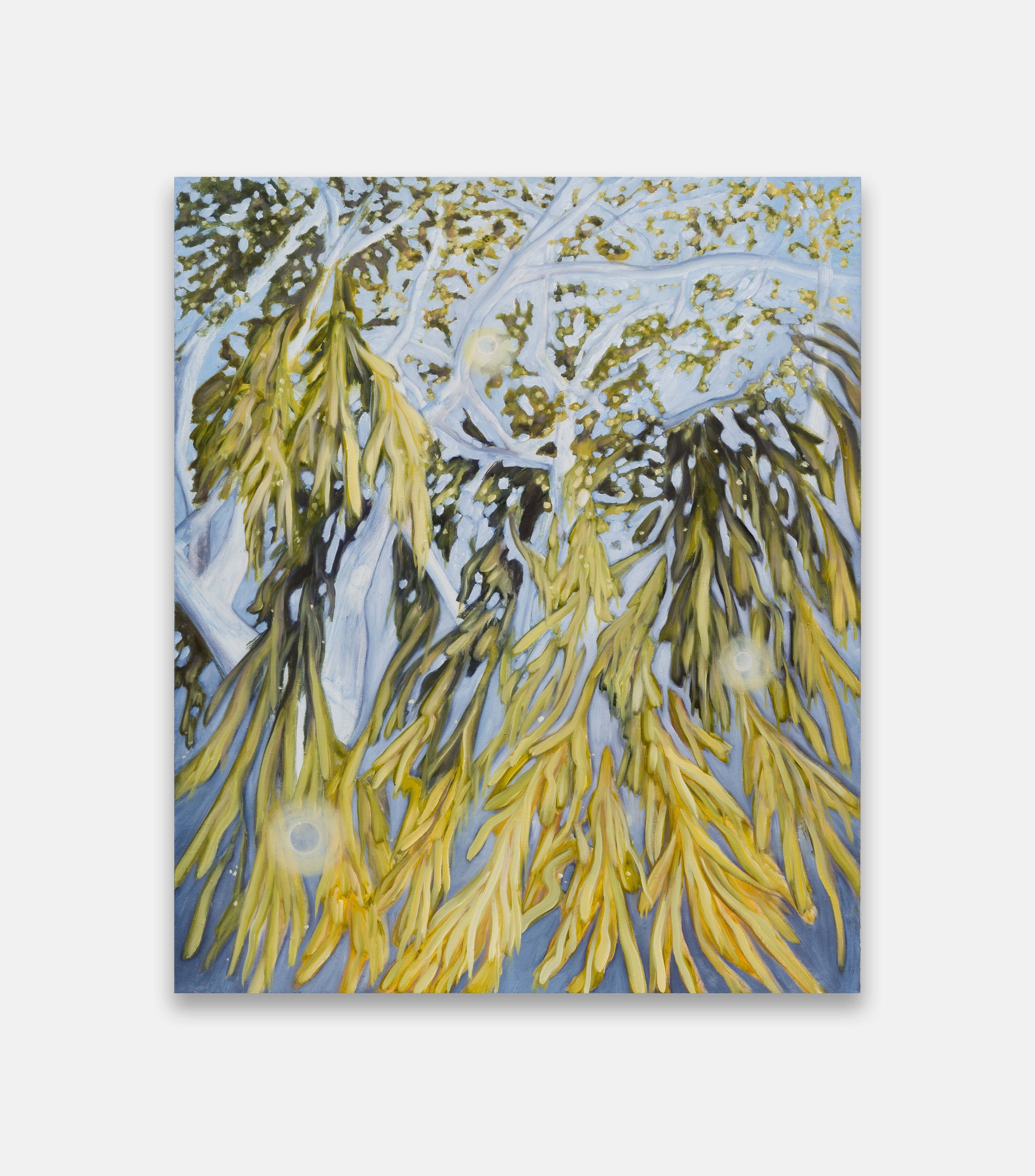 Sabrina Piersol
Downwillow, 2026
Oil on linen
24 x 20 in
60.96 x 50.8 cm