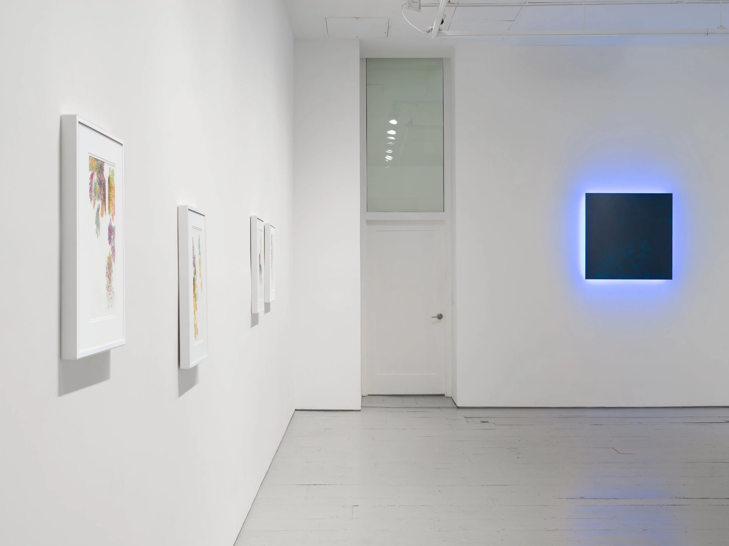 Space and Color Install HR.jpg