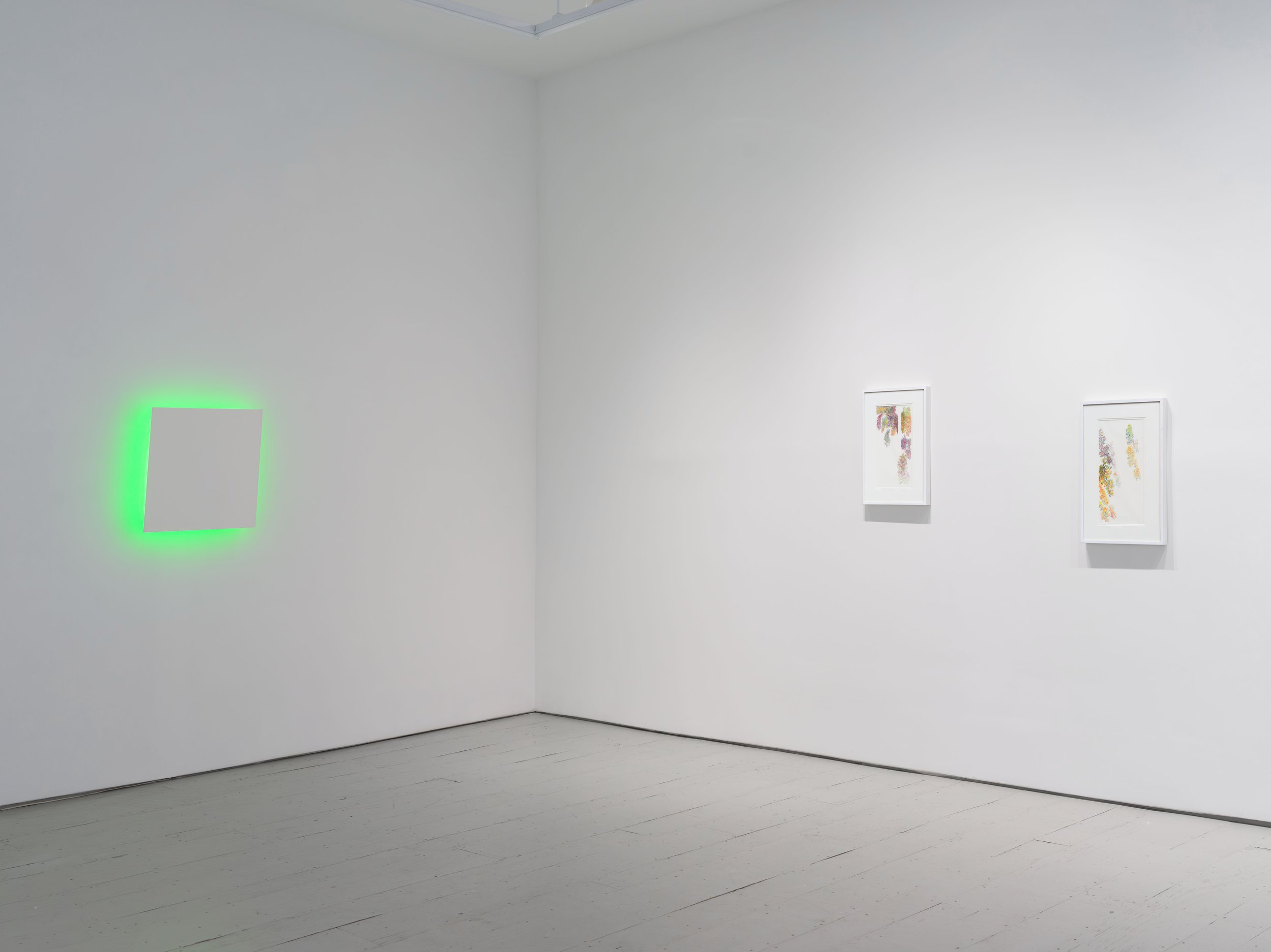 Space and Color Install-9 LR.jpg