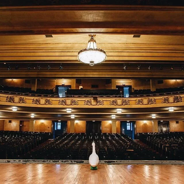 UPDATE: Film Festival Postponed Until Fall 2020