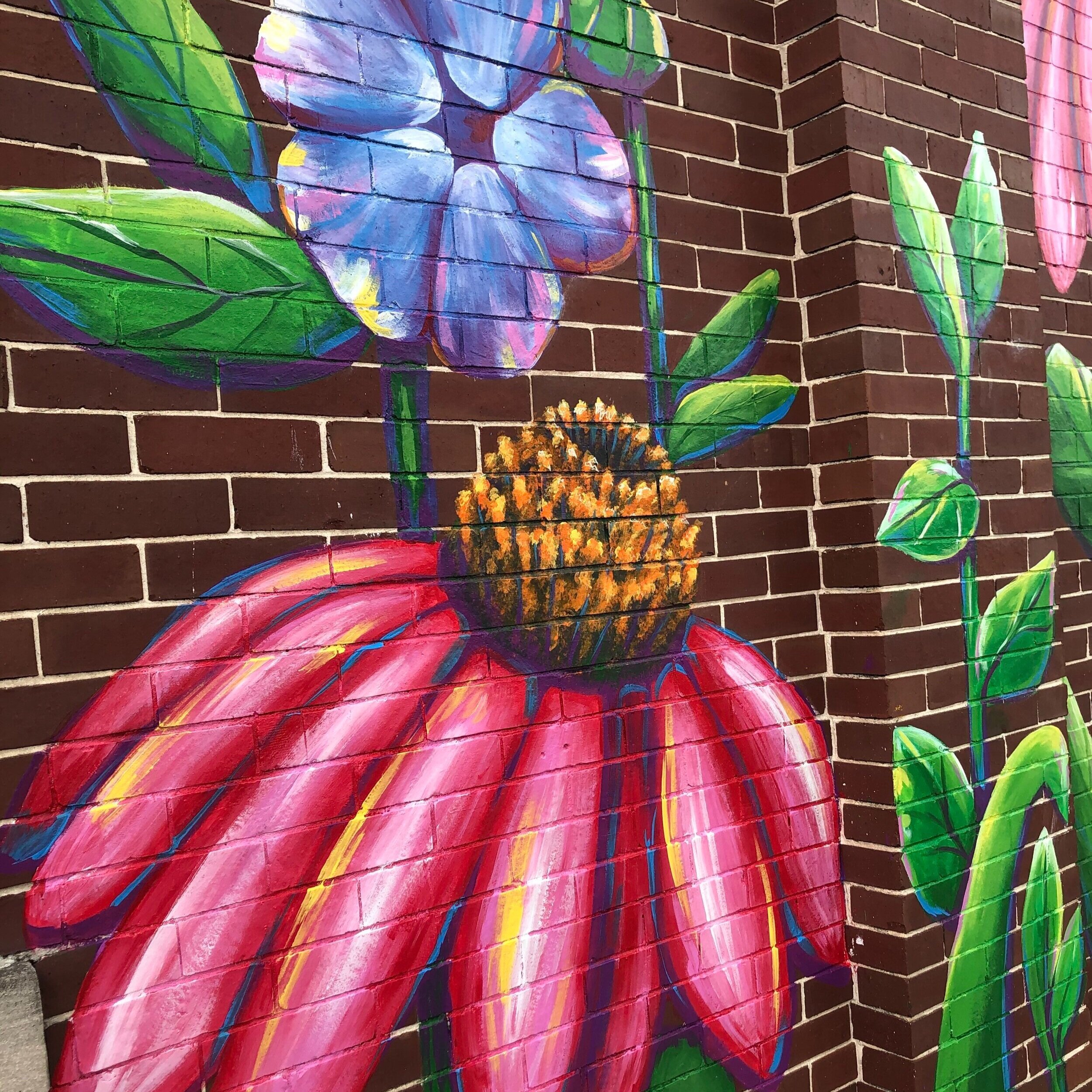 Episode 2: Sarah Shaffer