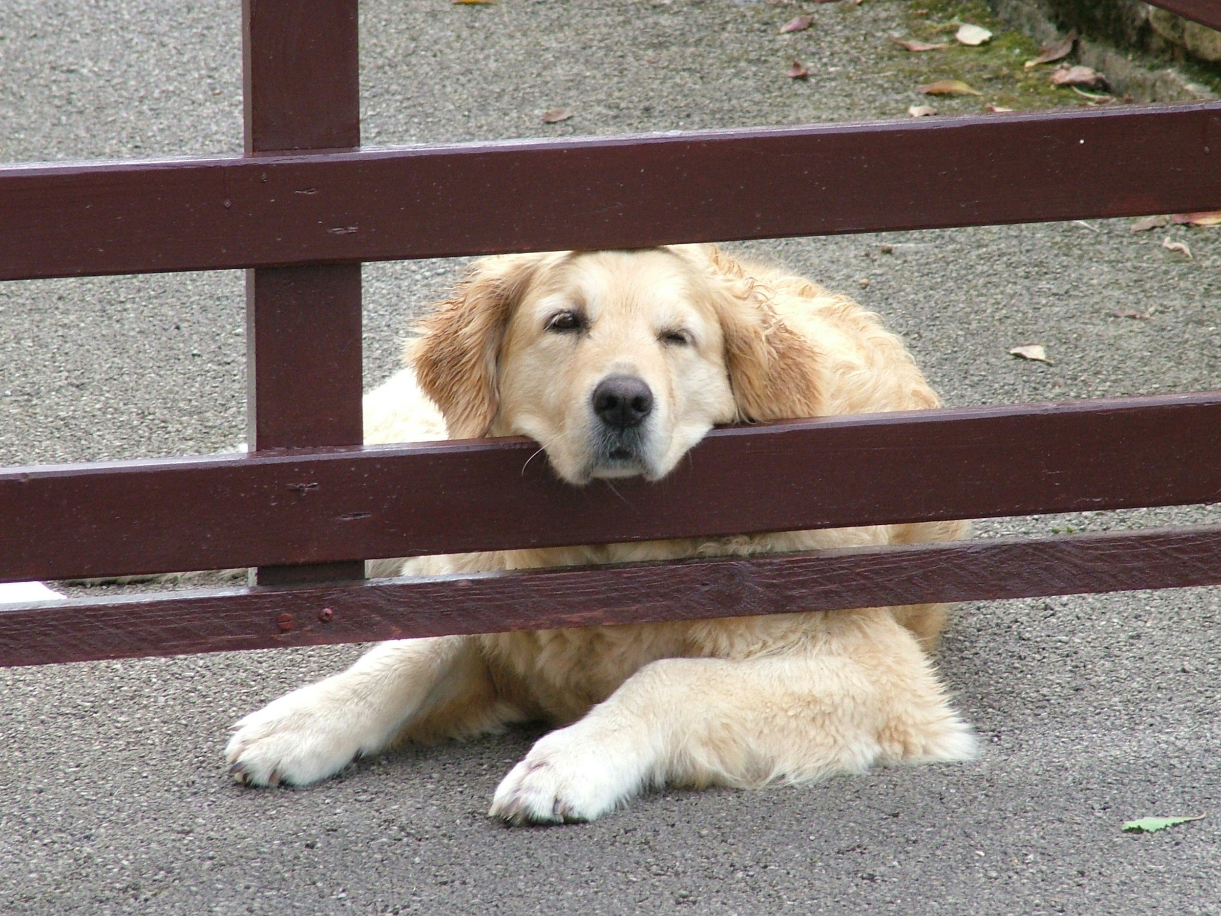 Why Summer Boredom Matters (Even When It Feels Uncomfortable)
