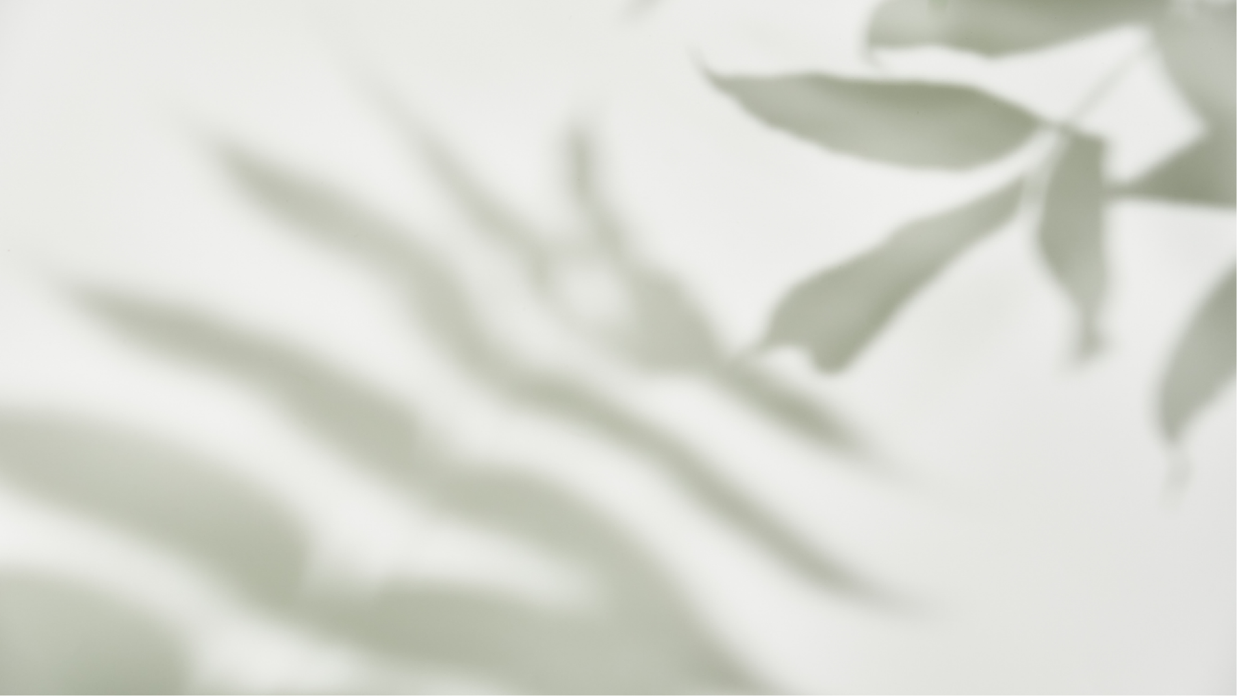 Middle Path Amherst New Hampshire Counseling And Therapy