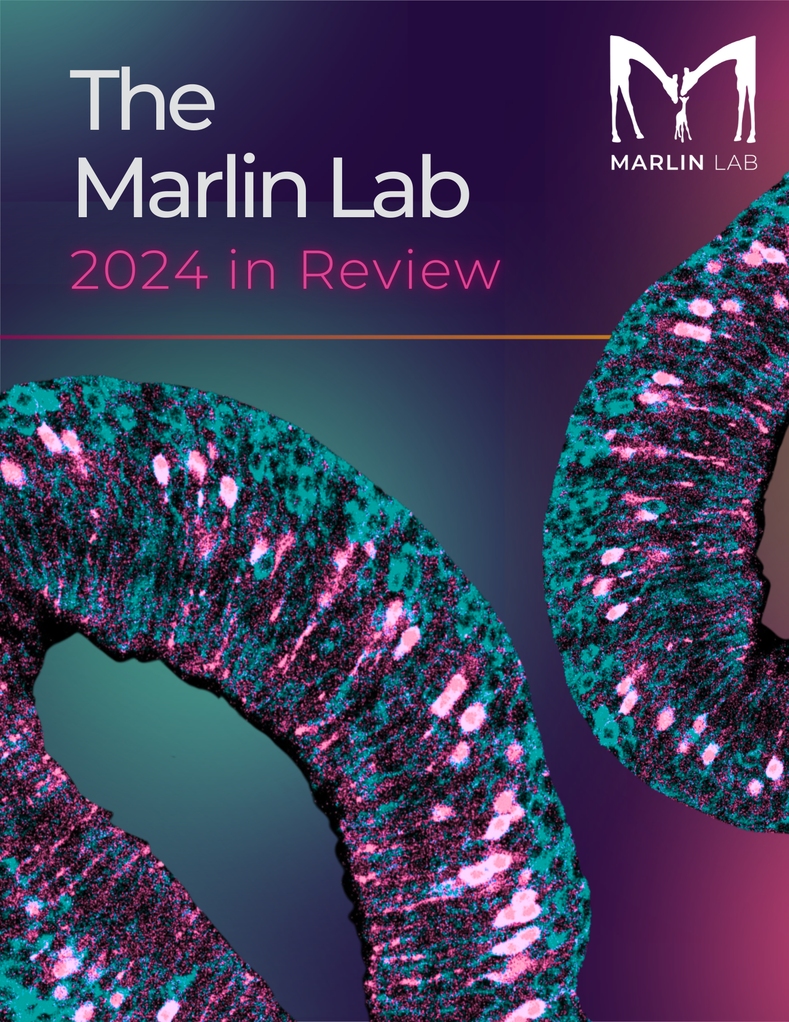 The Marlin Lab - 2024 in Review
