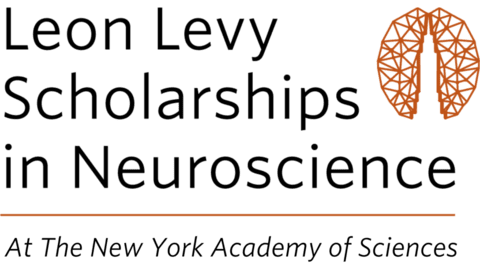 The Leon Levy Scholarship in Neuroscience