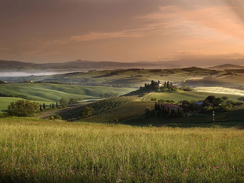 A golden-hour landscape of rolling hills dotted with cypress trees, vineyards, and a hilltop farmhouse beneath a warm hazy sky