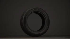 A VOLTA AO MUNDO EM 80.000 KM