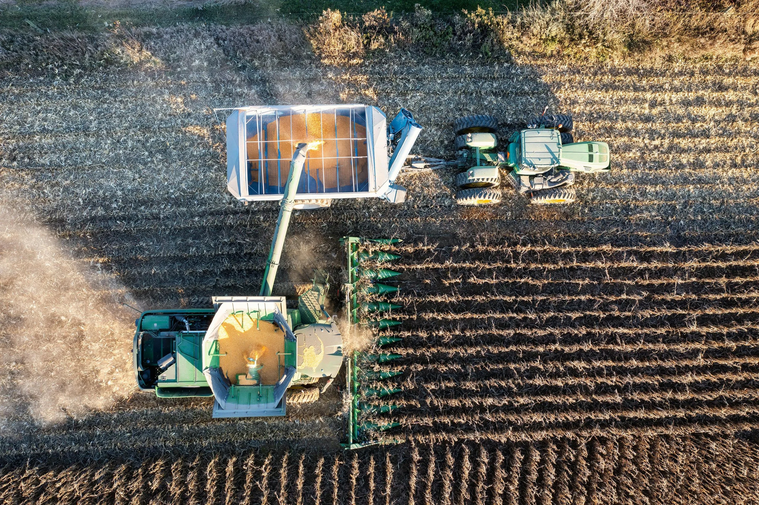 Building Farm-to-Table Trust Through Transparent Agricultural Technology