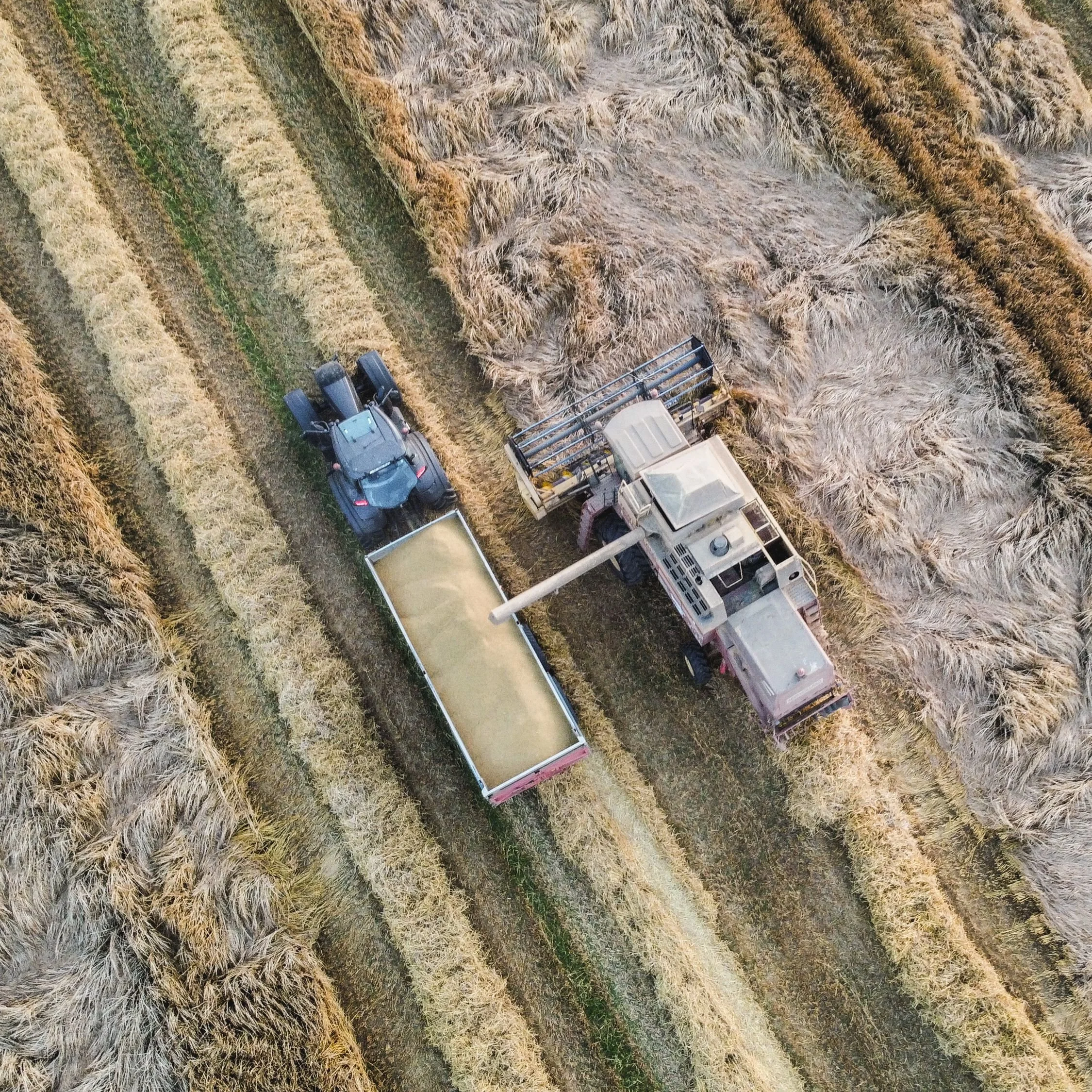 The Role of Documentation in Precision Agriculture and Farm Management