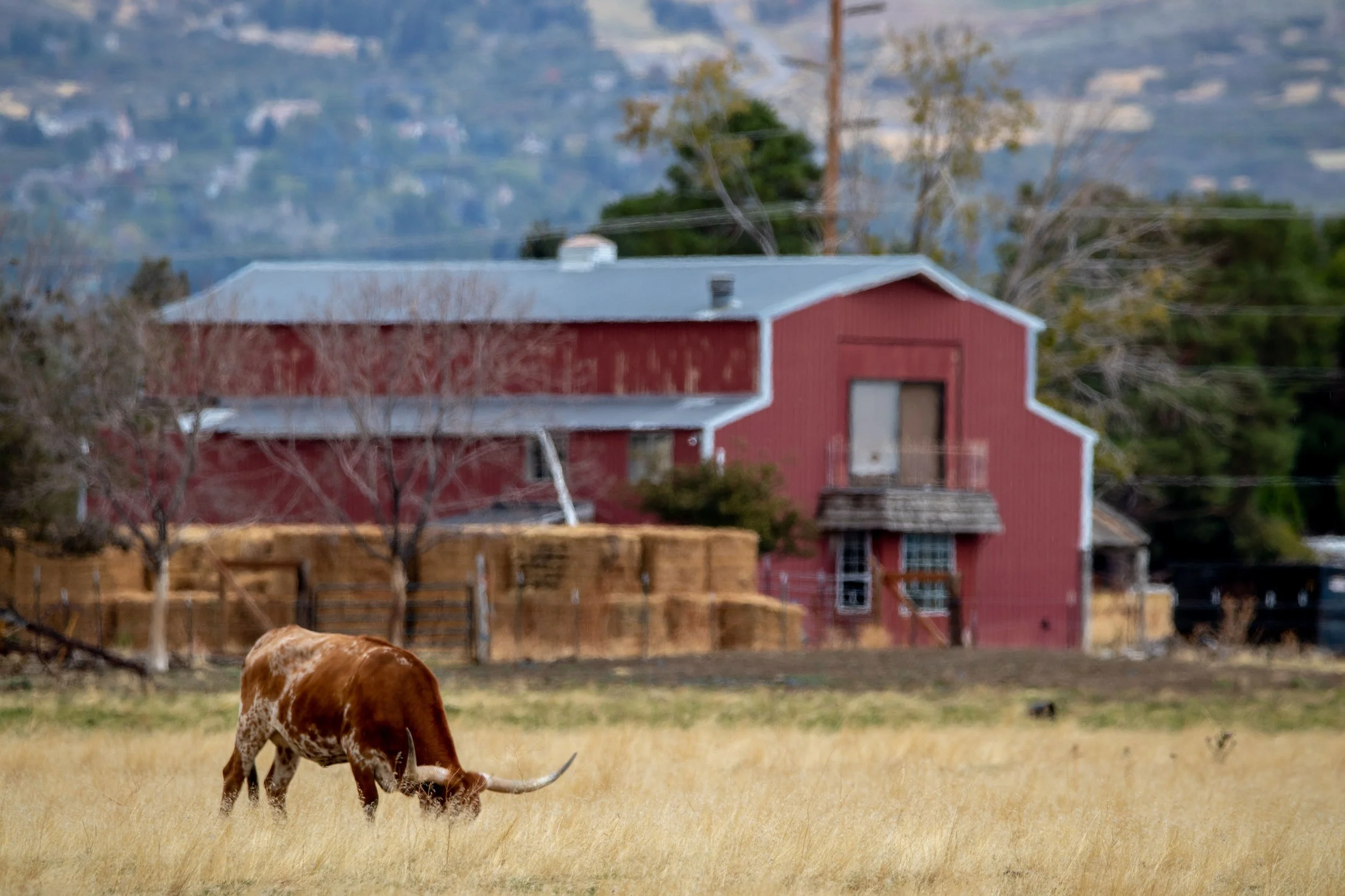 How Farmers and Ranchers Can Identify and Report Agricultural Cyber Threats