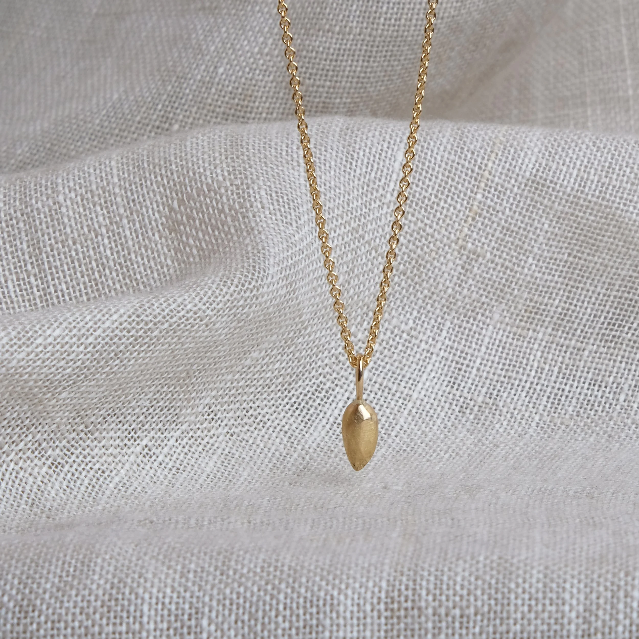 Apple Gold Seed bernascpni.jpg