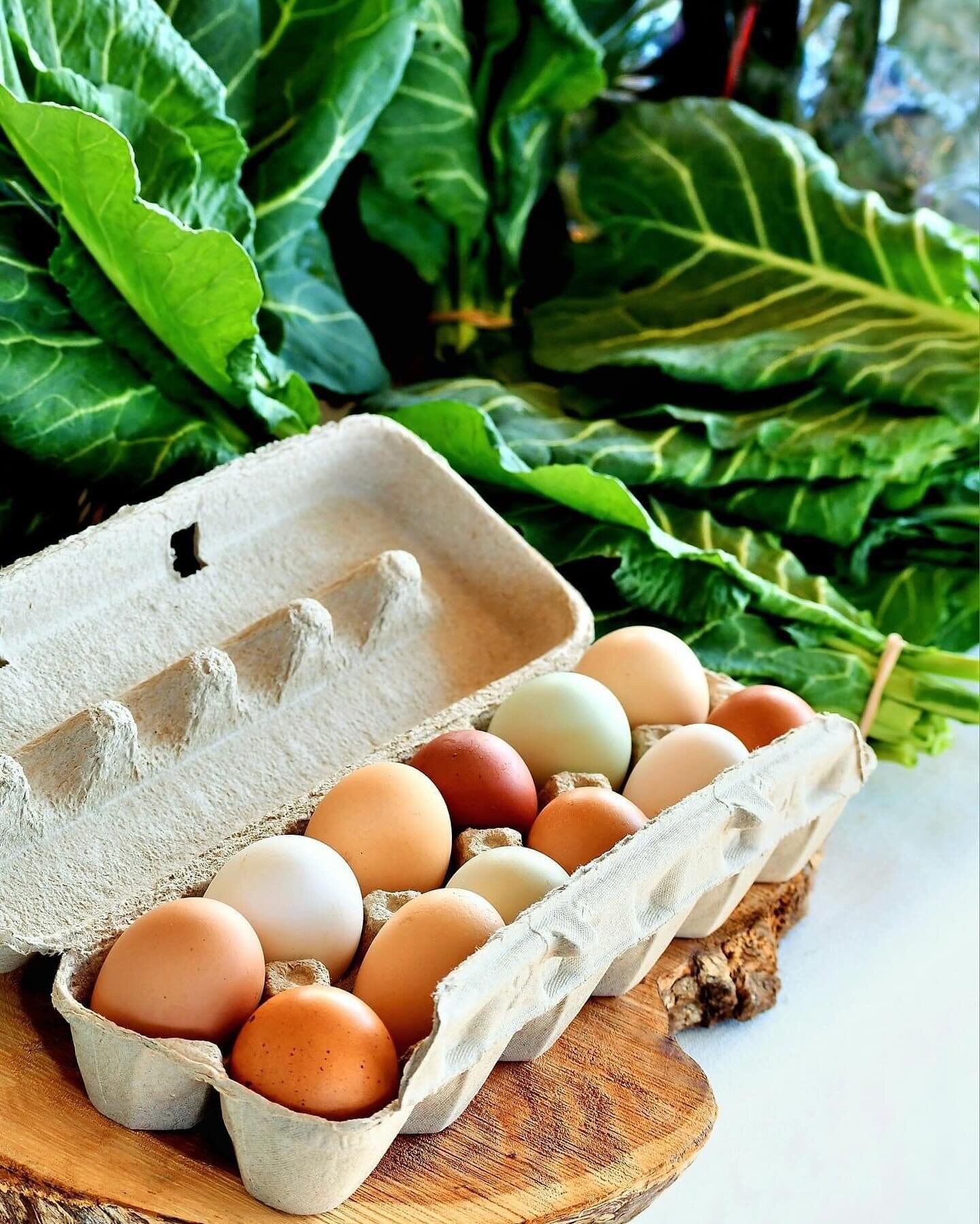 Catch us every Saturday at the @hotspringsfarmersmarket 9am - 12pm with several cold-weather goodies. Catch us every other moment soil blocking, seeding, bed prepping, planting, repeat. 🥰 Eggs and collards 📸: @pam8100