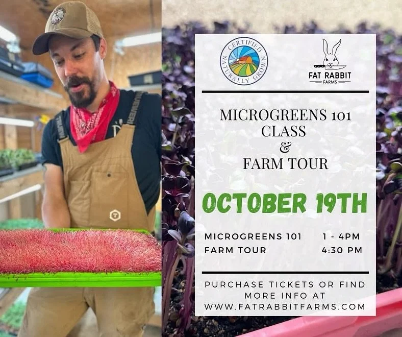 Come hang out with us at Fat Rabbit Farms on October 19th for Microgreens 101 or a farm tour! More info or tickets at fatrabbitfarms.com.
