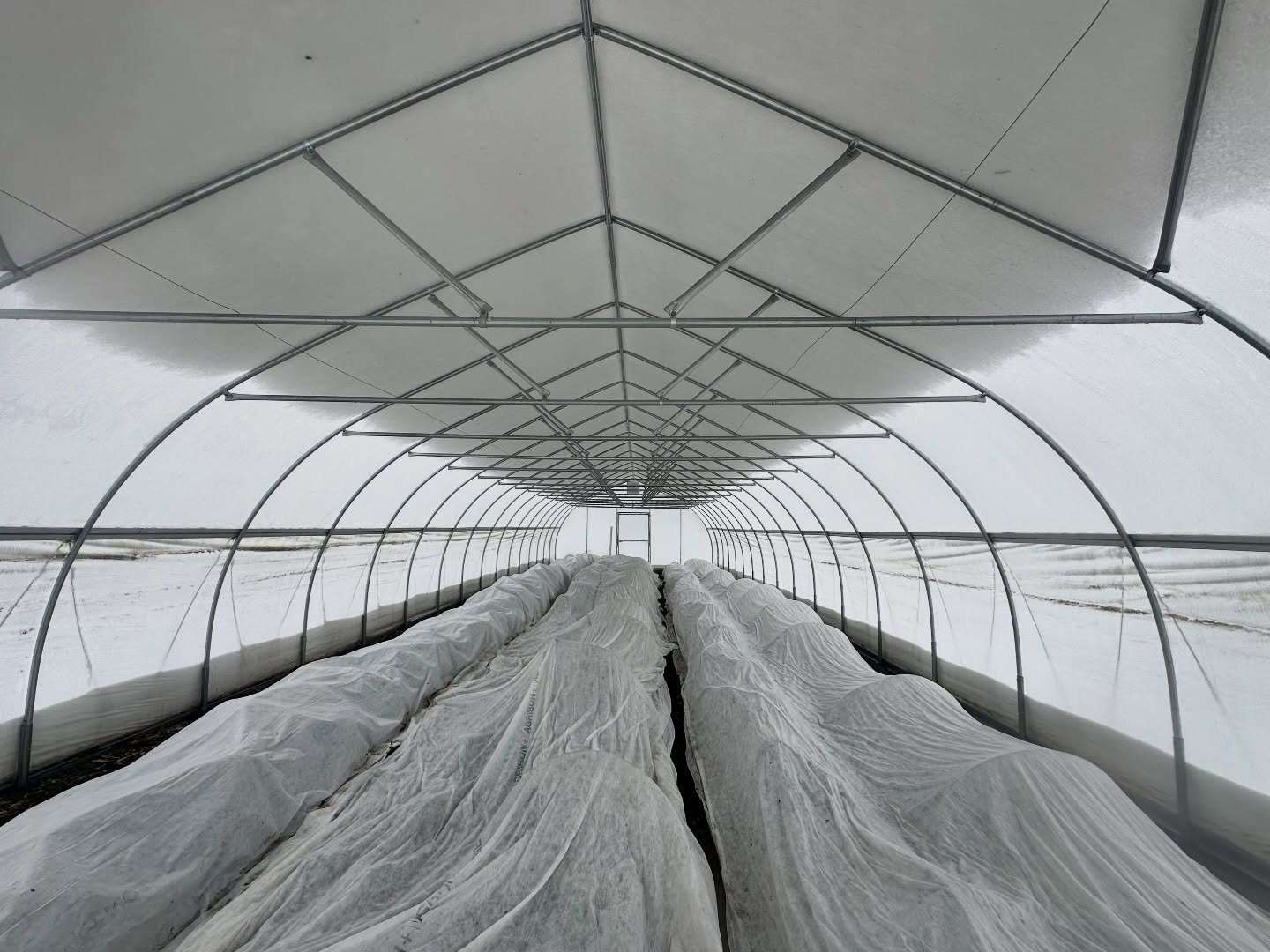 What a storm, ya&rsquo;ll. We&rsquo;ve seen several farming friends with devastating losses. Businesses in the community have collapsed. Every season, we learn more. We were so unbelievably lucky this time. BIG shoutout to volunteers Lisa, Duff, Dad,