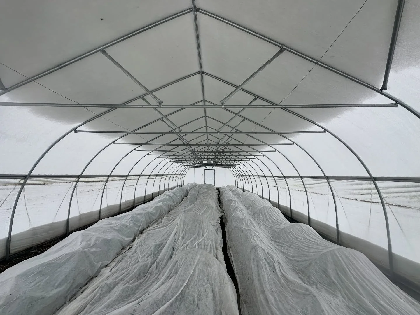 What a storm, ya&rsquo;ll. We&rsquo;ve seen several farming friends with devastating losses. Businesses in the community have collapsed. Every season, we learn more. We were so unbelievably lucky this time. BIG shoutout to volunteers Lisa, Duff, Dad,