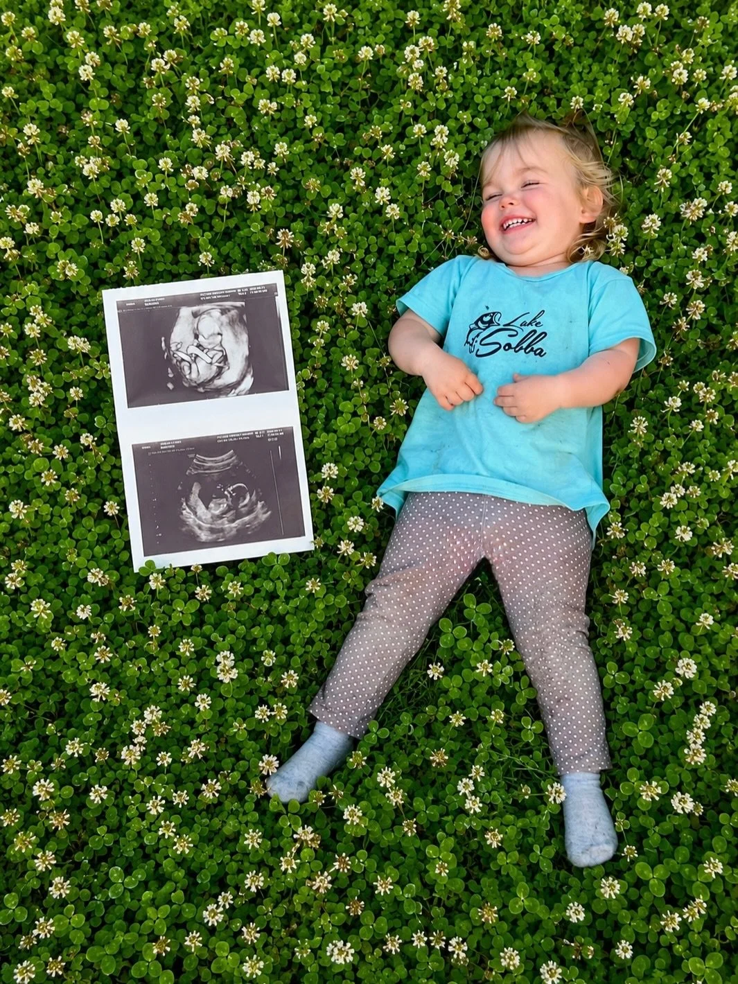 Little announcement from the farm&hellip;the next Fat Rabbit is coming in November! And this time, we couldn&rsquo;t wait to find out. It&rsquo;s a girl! Our farm community was so supportive when we welcomed Lumi in the summer of 2024. Thank you for 