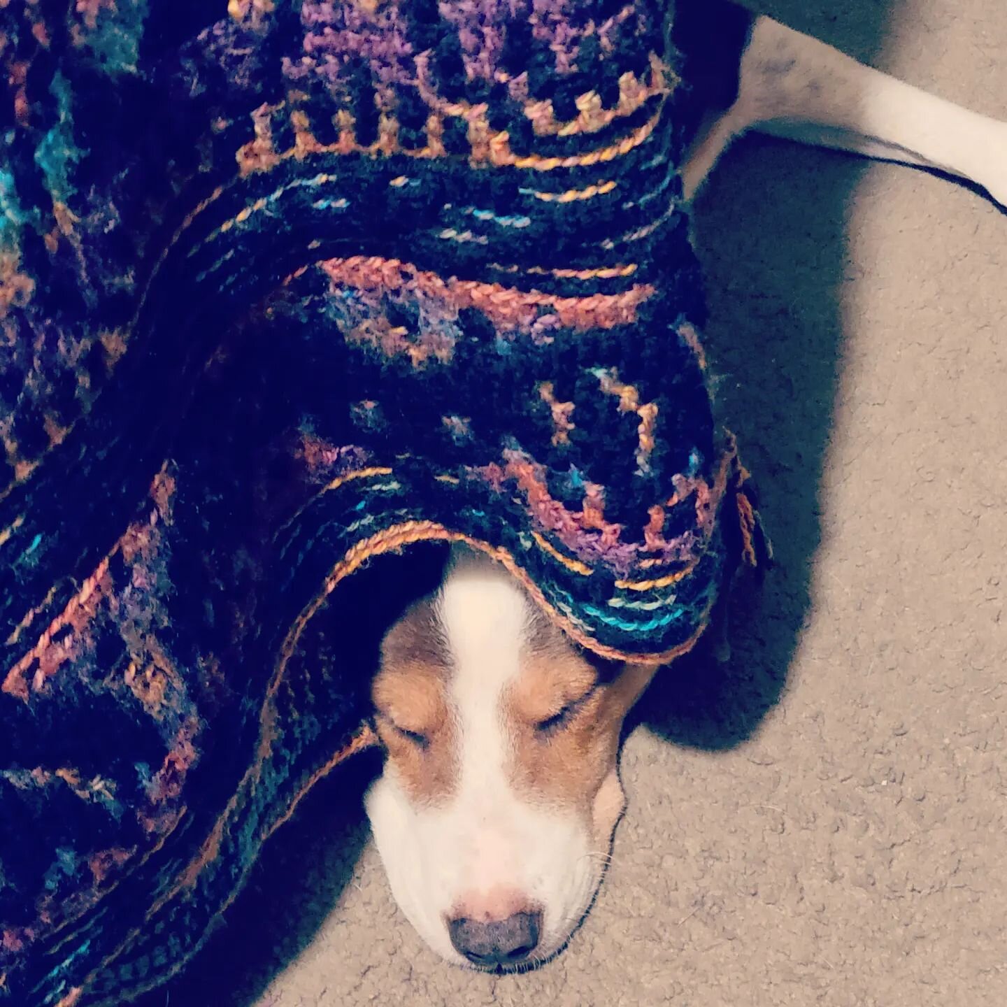 Someone is trying to claim my Halloween blanket because I haven't made him anything lately! It's mine! 
#mosaiccrochetalong
#mosaiccrochet #crochetmosaic #crochet #crochetersoftheworld #crochetersofinstagram #Halloween #crochetpattern #crocheters #sp