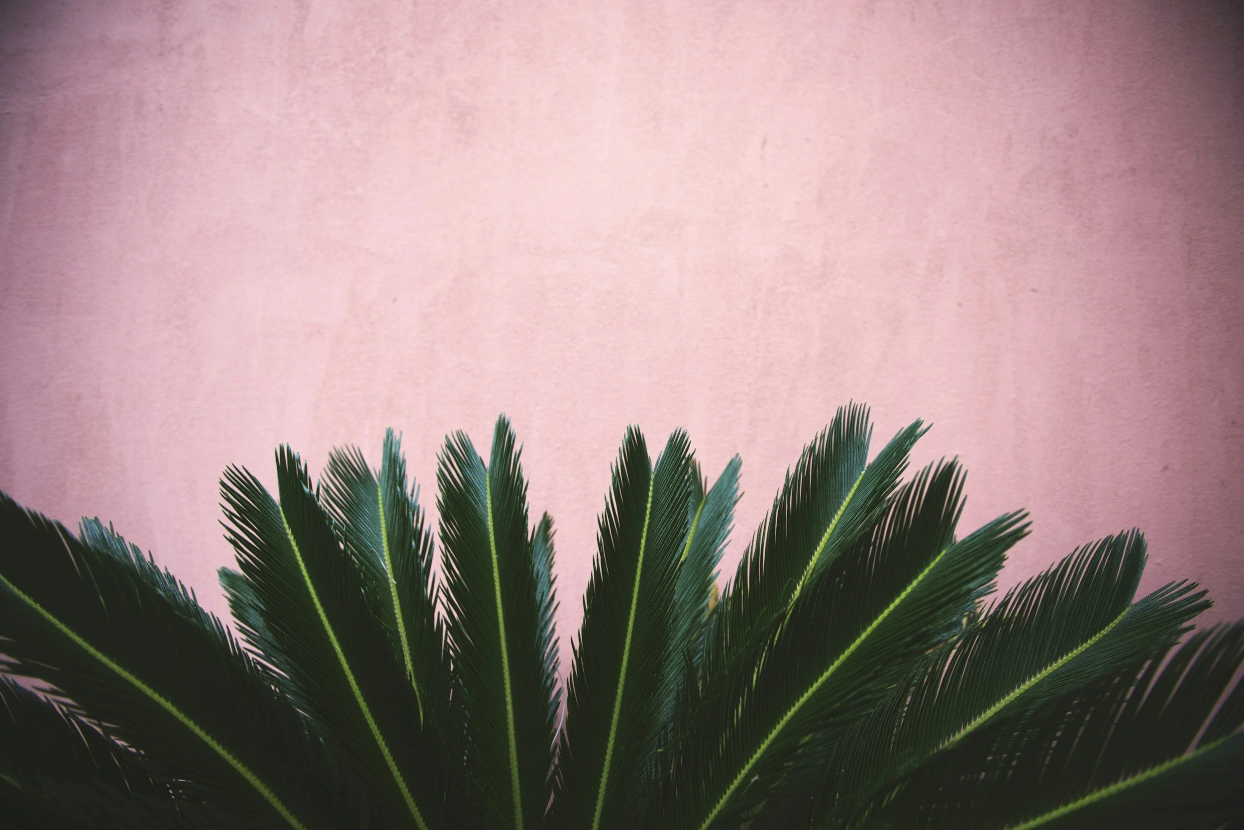 unsplash-image-9Gg_D6eLnC0.jpg