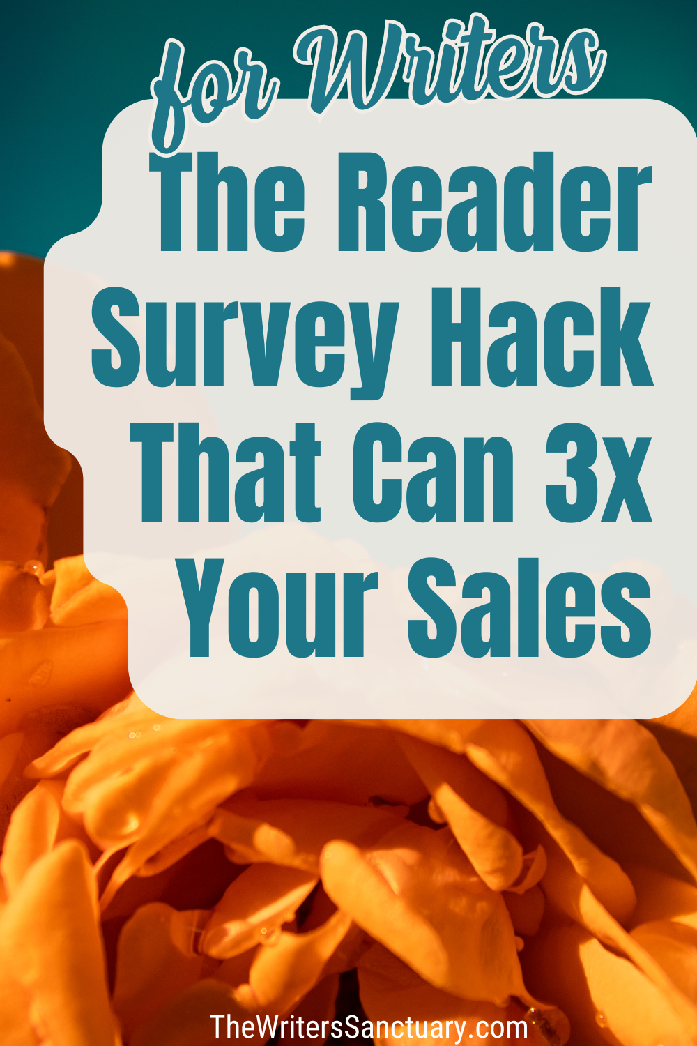 The Reader Survey Hack That Can 3x Your Sales