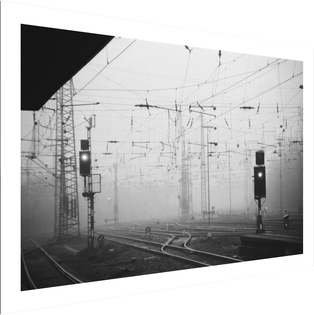 image (38).png