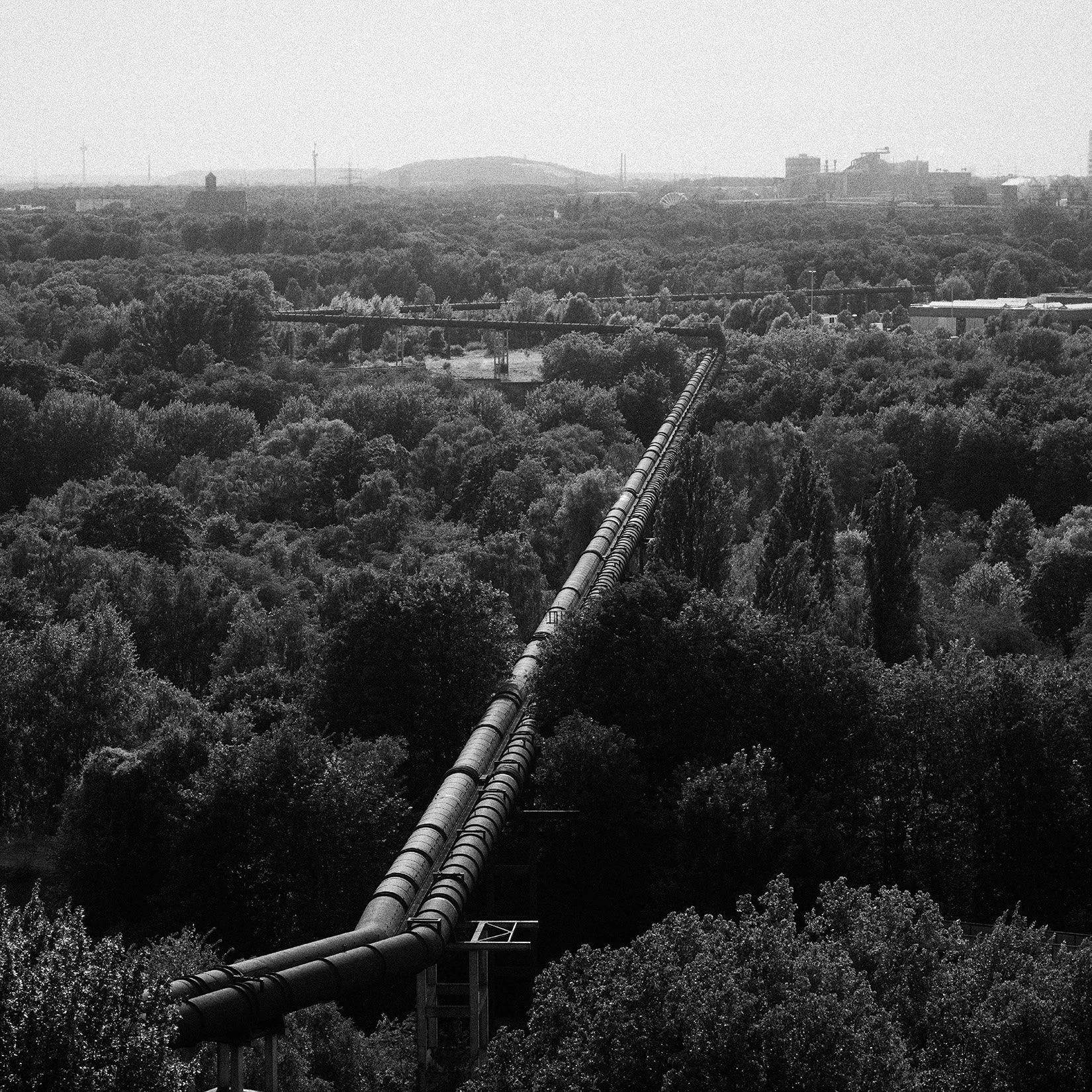 Black and white square photograph of an industrial pipeline running diagonally through dense forest towards a distant skyline