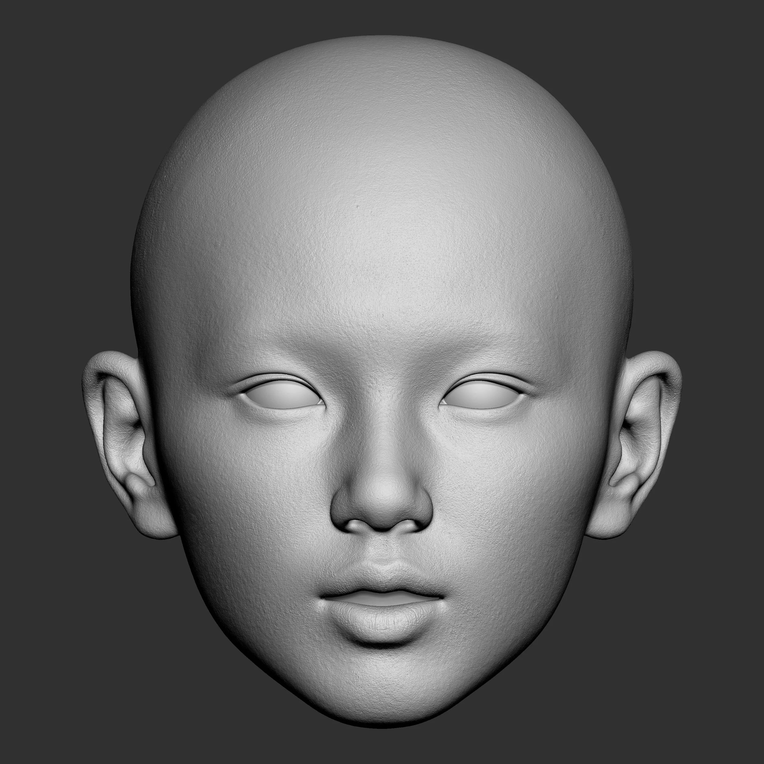Detailed grey render of a custom head sculpt showing hand-built skin pore texture across the face