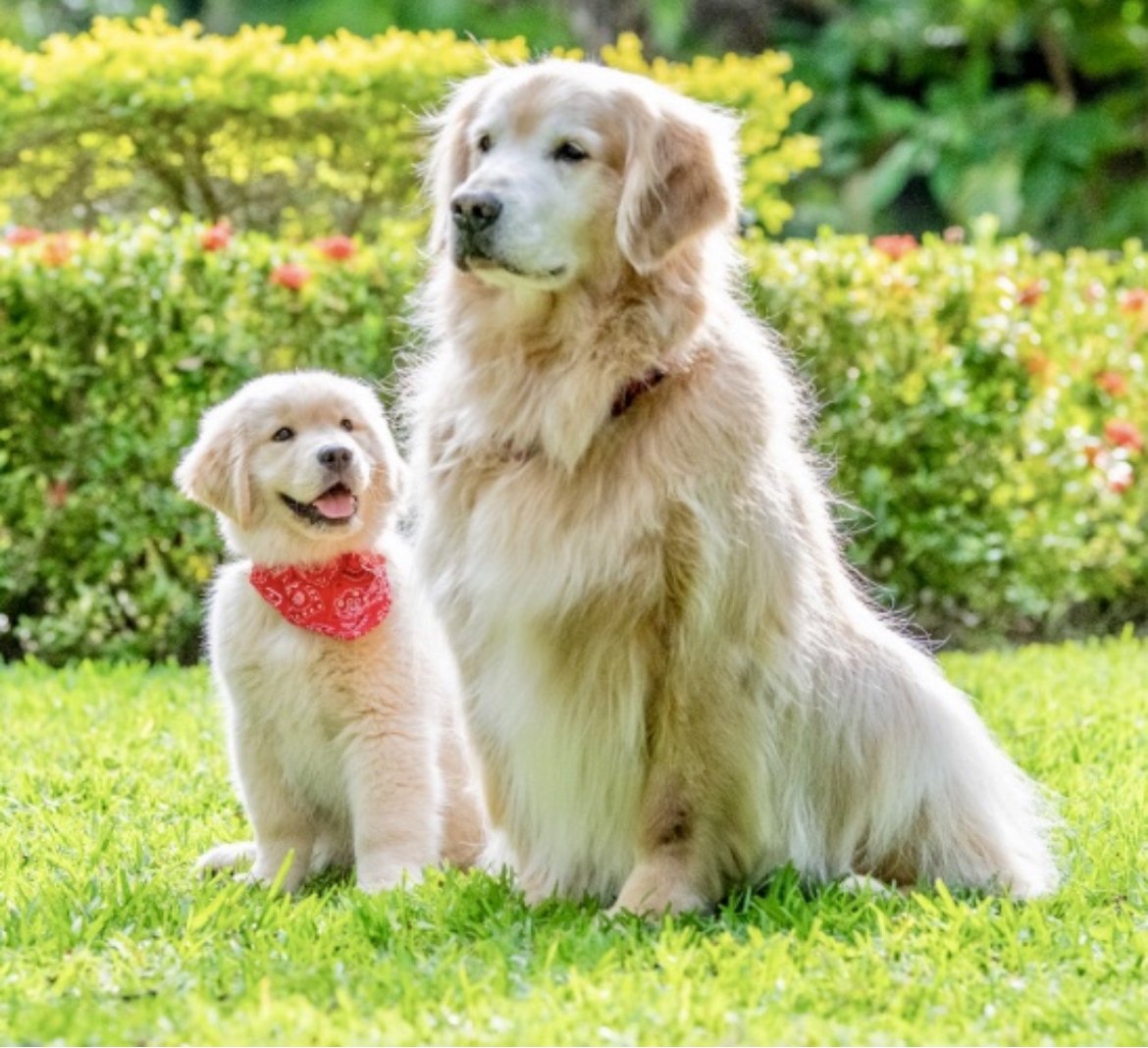 Max and his new little brother, Atlas. “When I grow up, I want to be just like Max!”