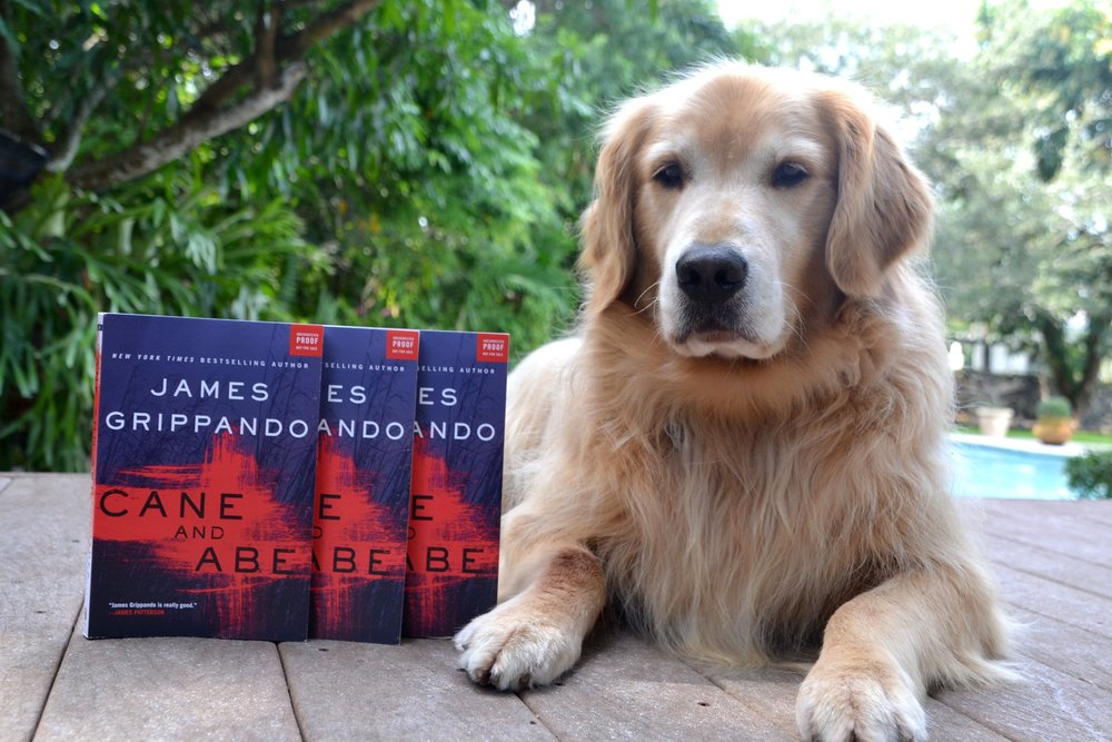 Books Where the Dog Dies: Emotional Journeys Unveiled