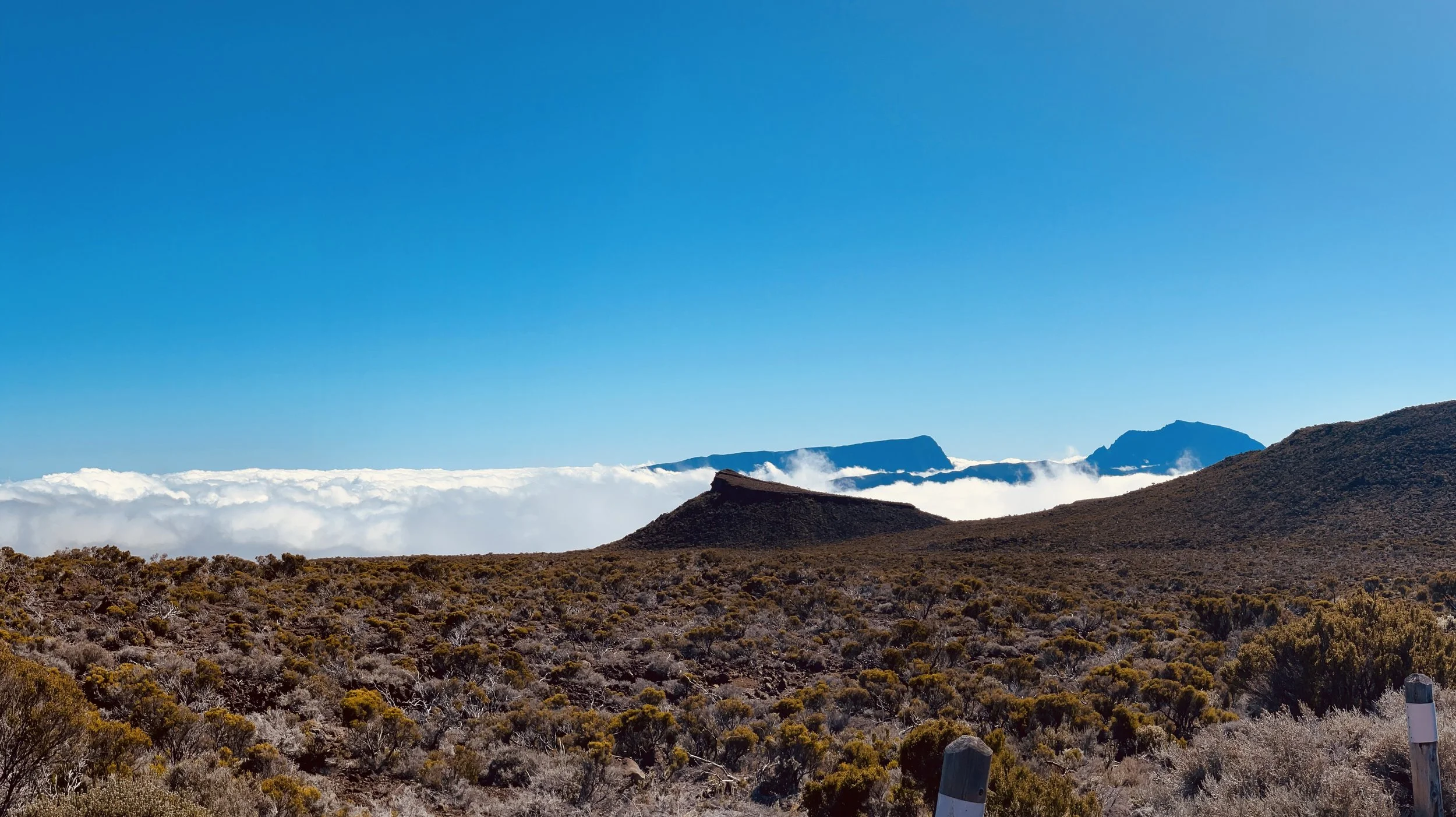 view in nat park.jpeg